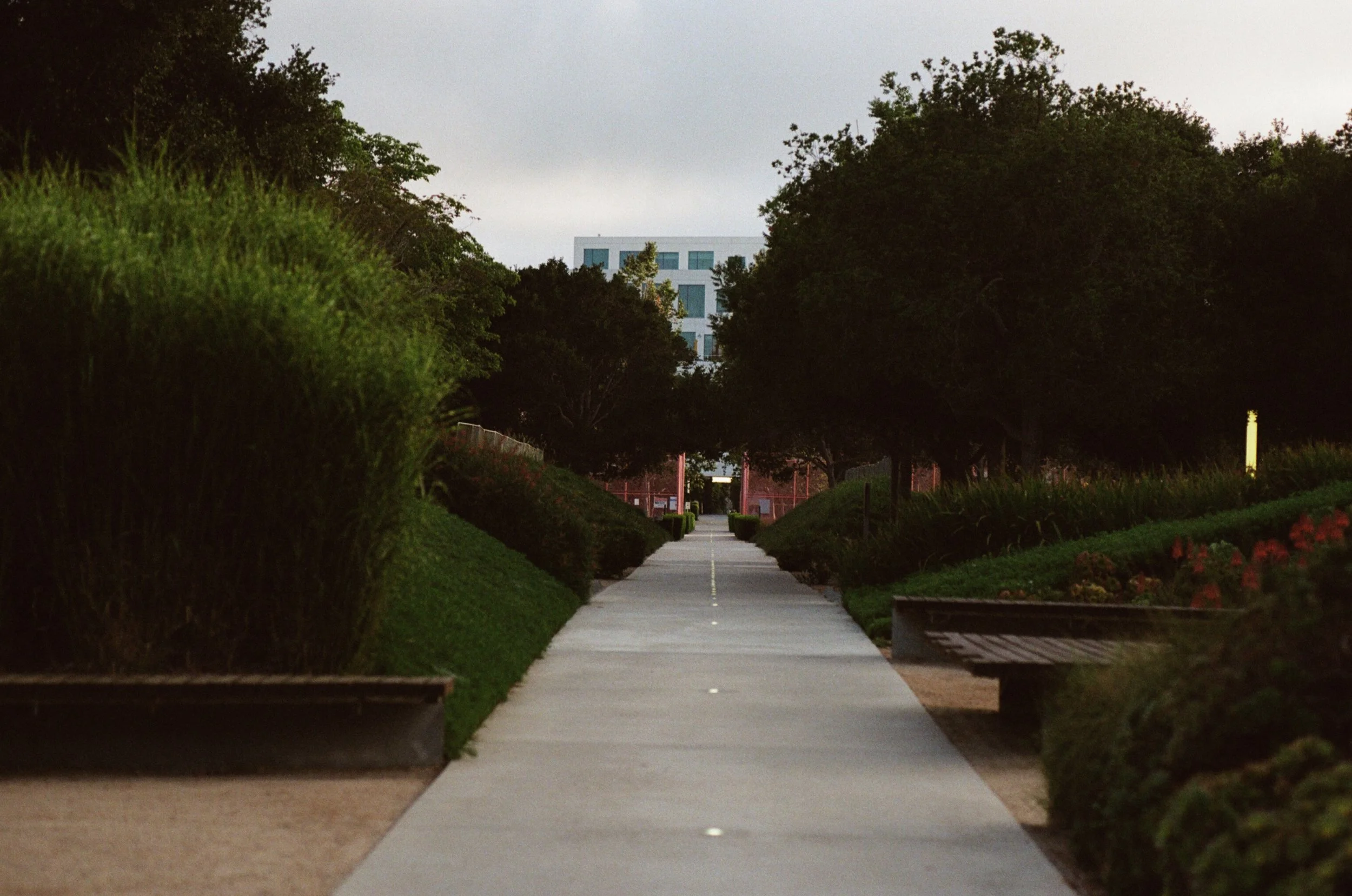 FE061_Fuji-cl400_0024_edit.jpg