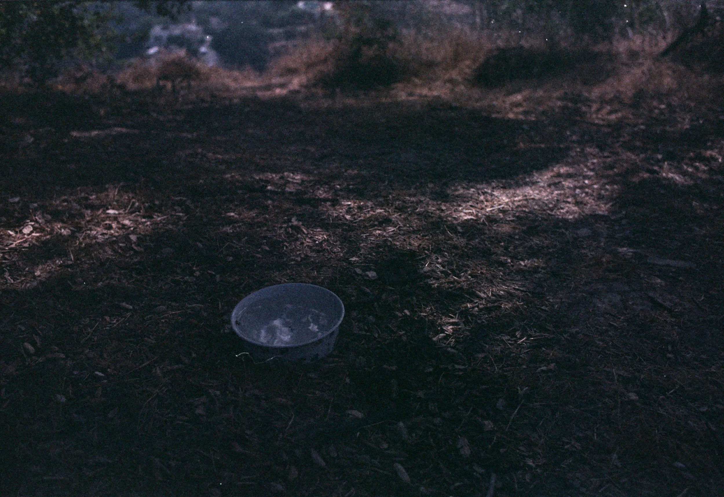 FE069_Fujifilm-nph400_0021.jpeg