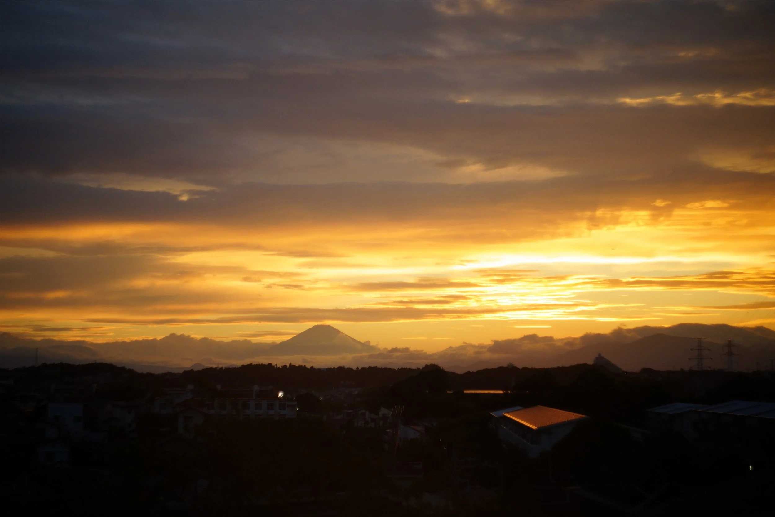 DSC01194_edit.jpeg