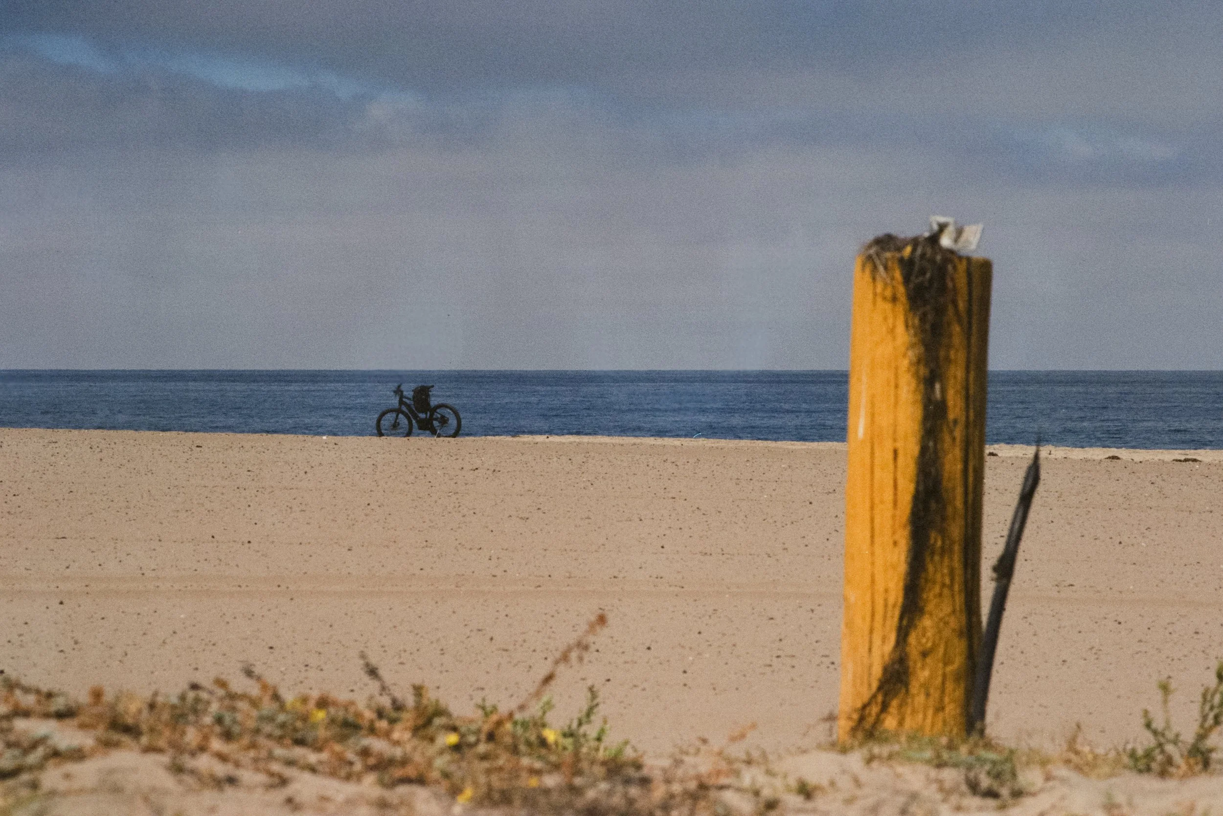 FE062_Kodak-v3-250D_0034.jpg