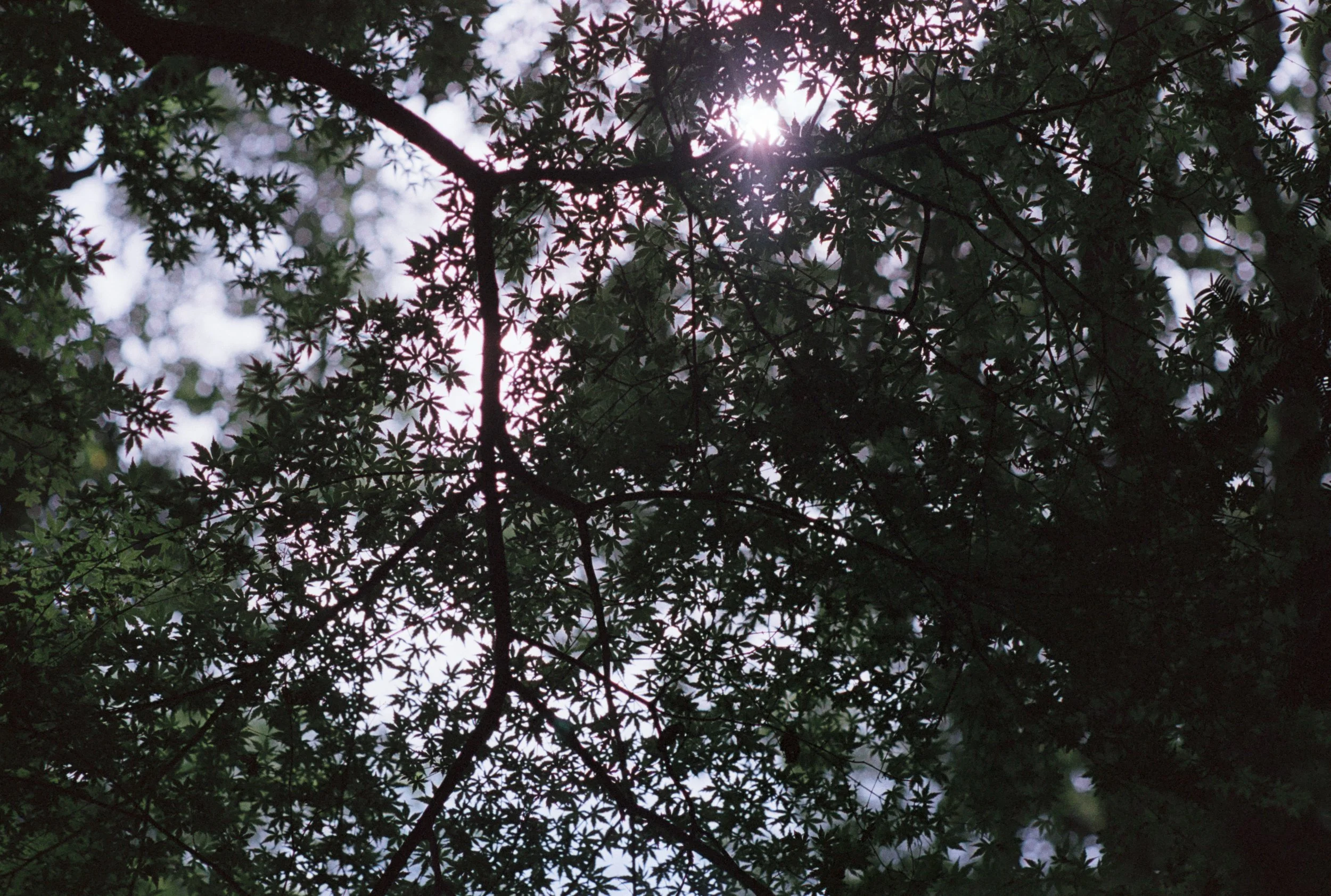 FE082_santa100_0028.jpeg