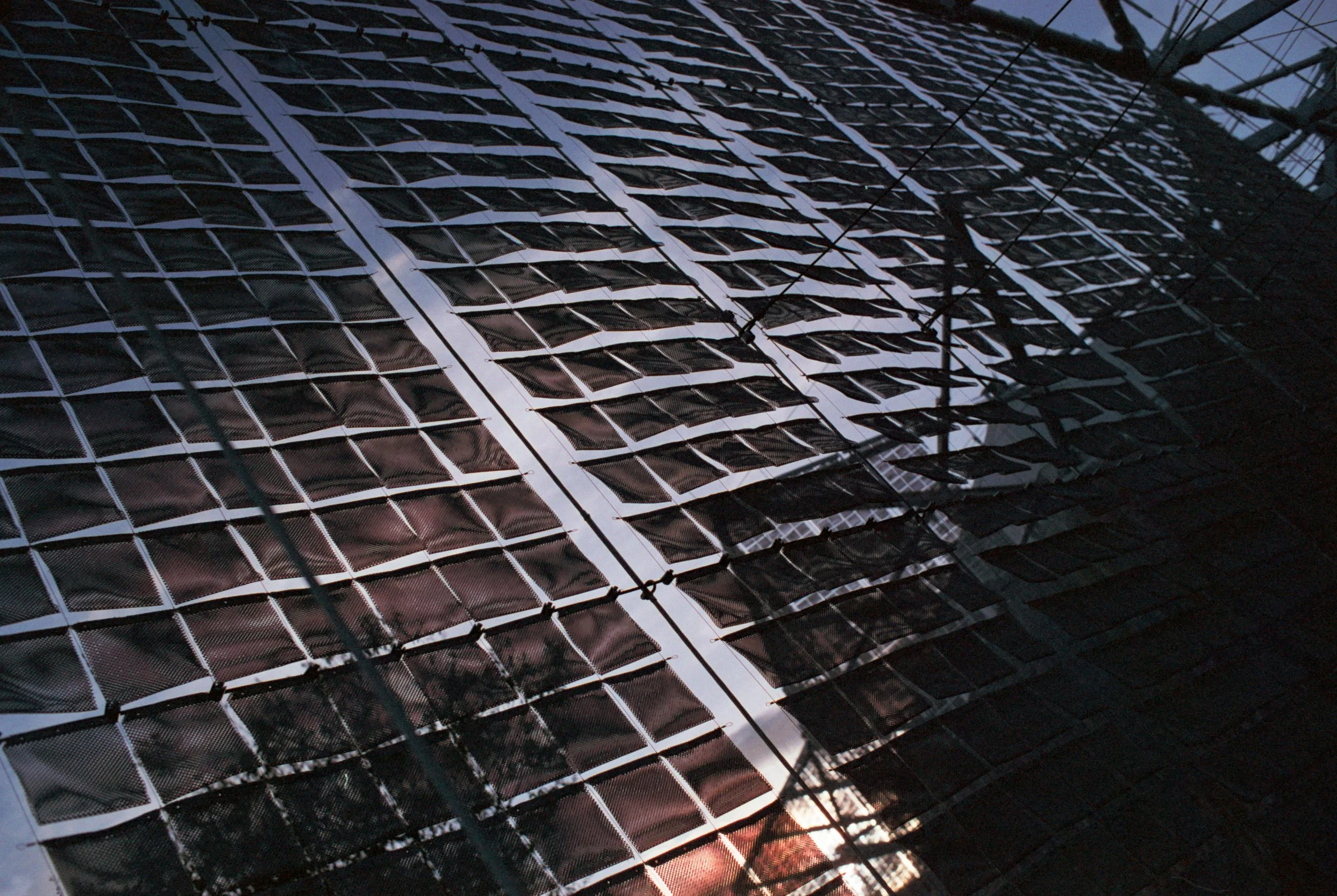 FE081_Fuji-SP400_0019.jpeg