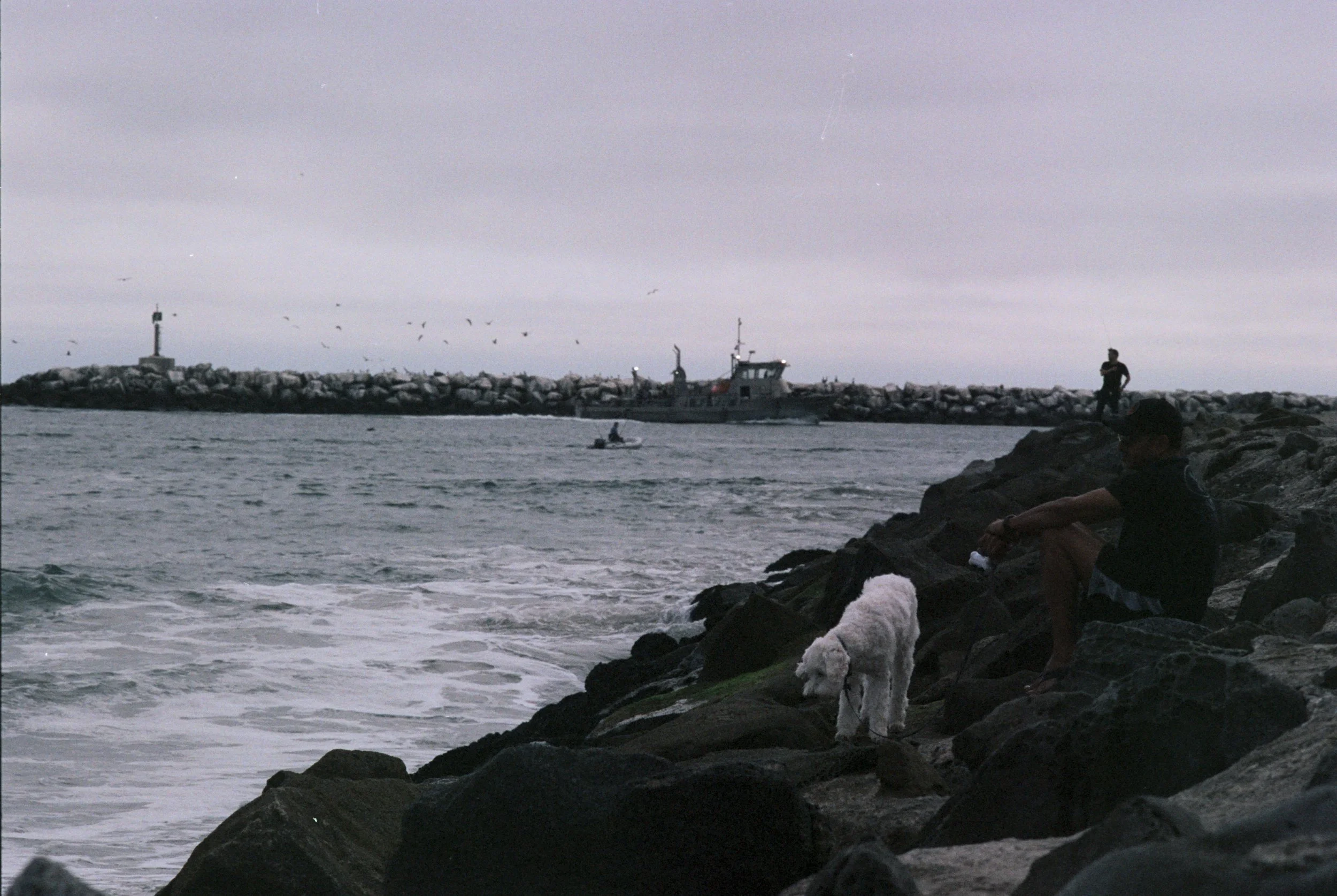 FE068_Kodak-p400_0026_edit.jpeg