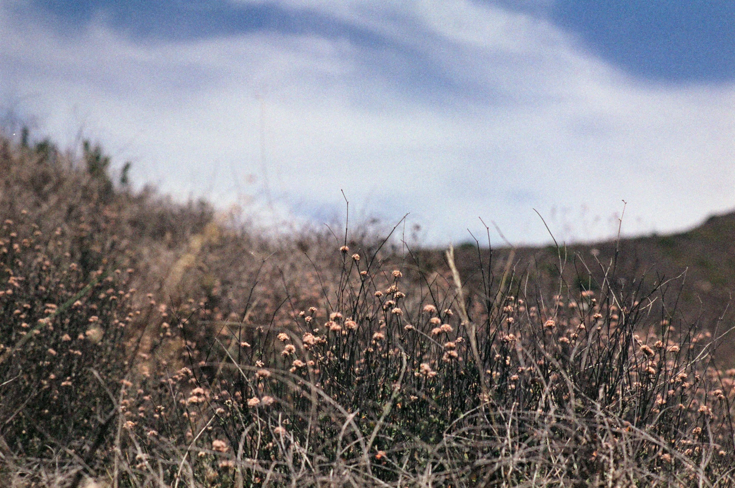 FE075_Fujifilm-p400h_0036.jpeg