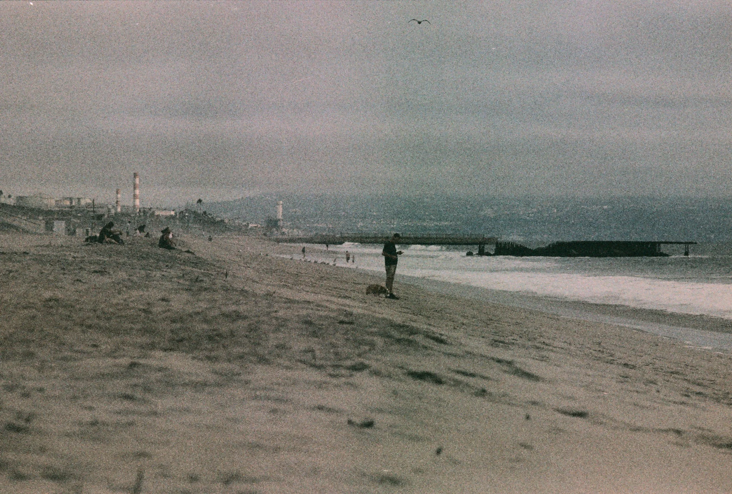 FE069_Fujifilm-nph400_0002.jpeg