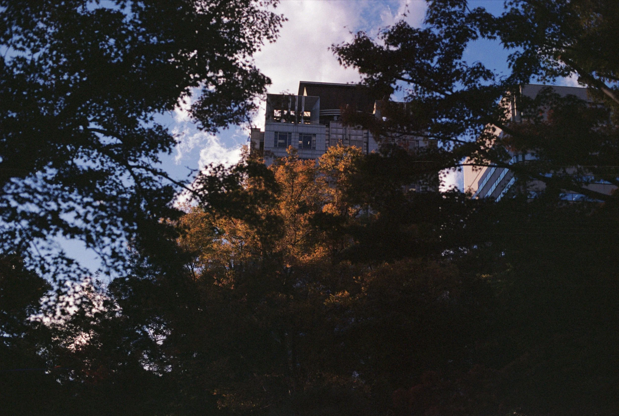 FE085_Kodak-p400_0002.jpg
