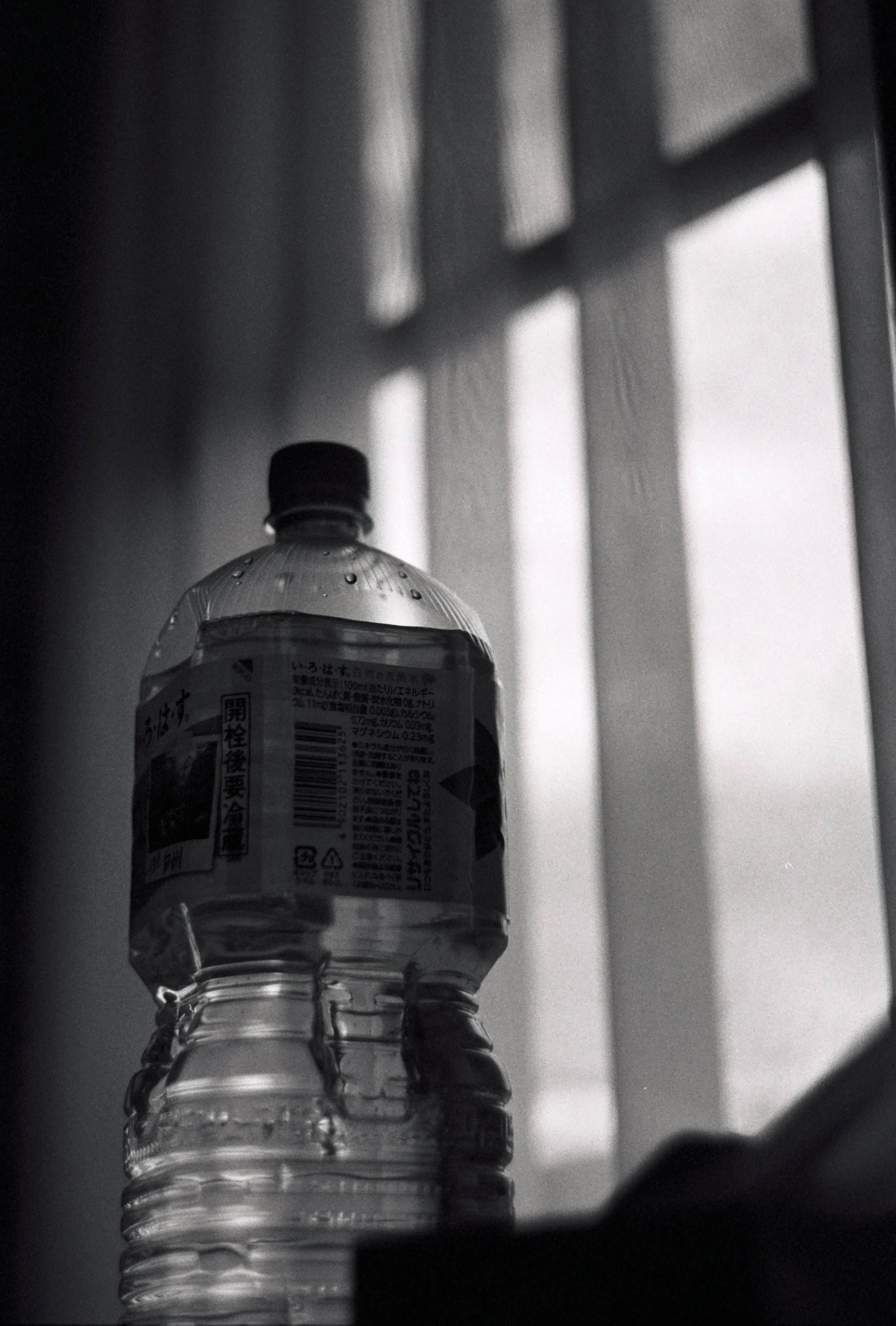 FE080_Ilford-hp5_0017.jpeg