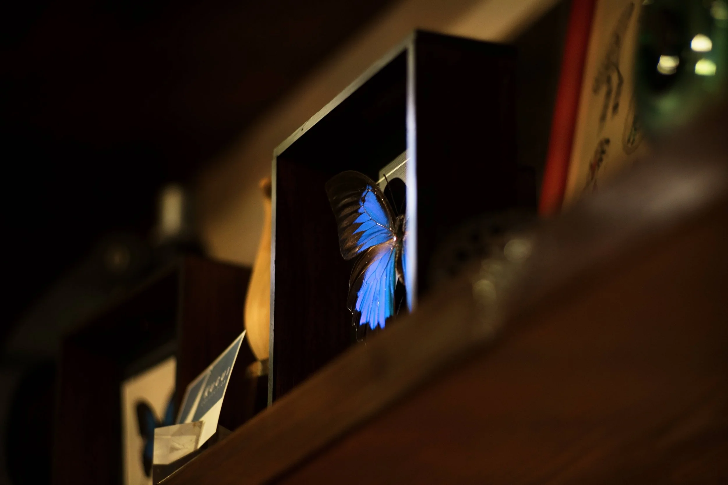 Between Nature and Artifact (2025)