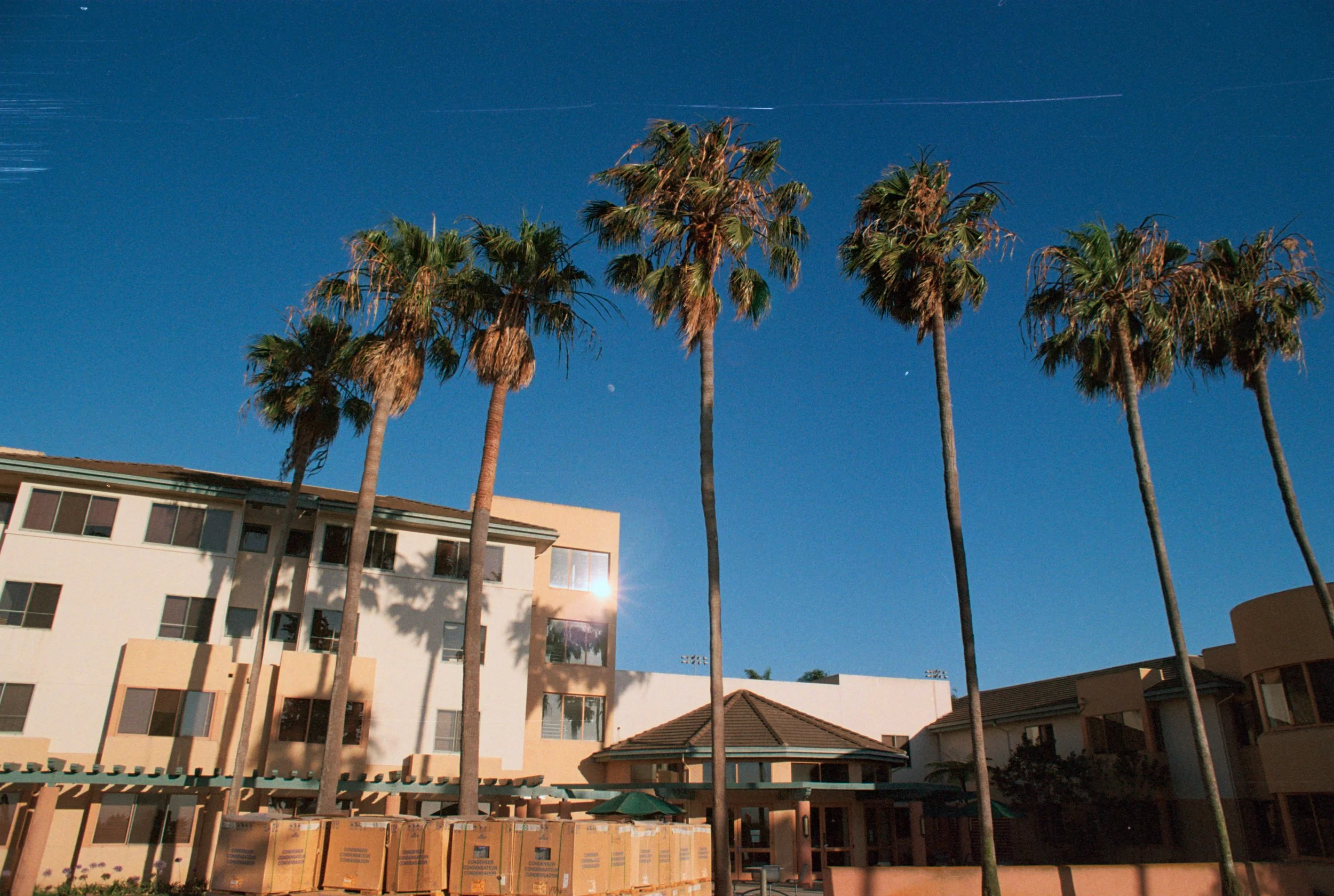 FE065_Fuji-c400_0032.jpeg