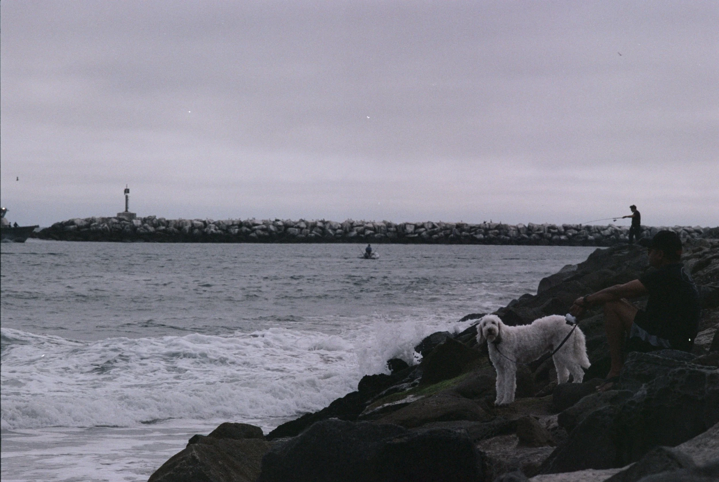 FE068_Kodak-p400_0025_edit.jpeg