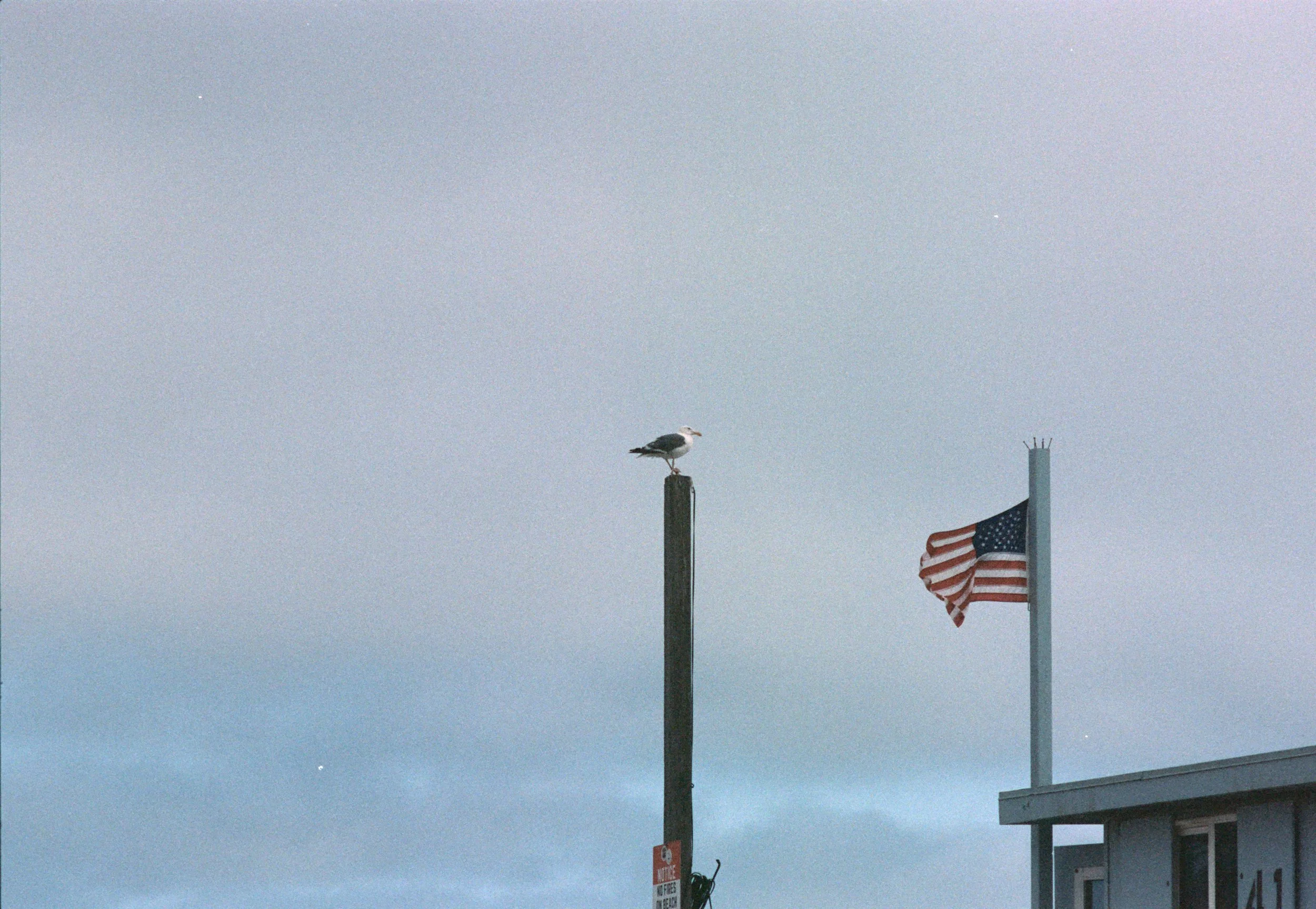 FE068_Kodak-p400_0034_edit.jpeg