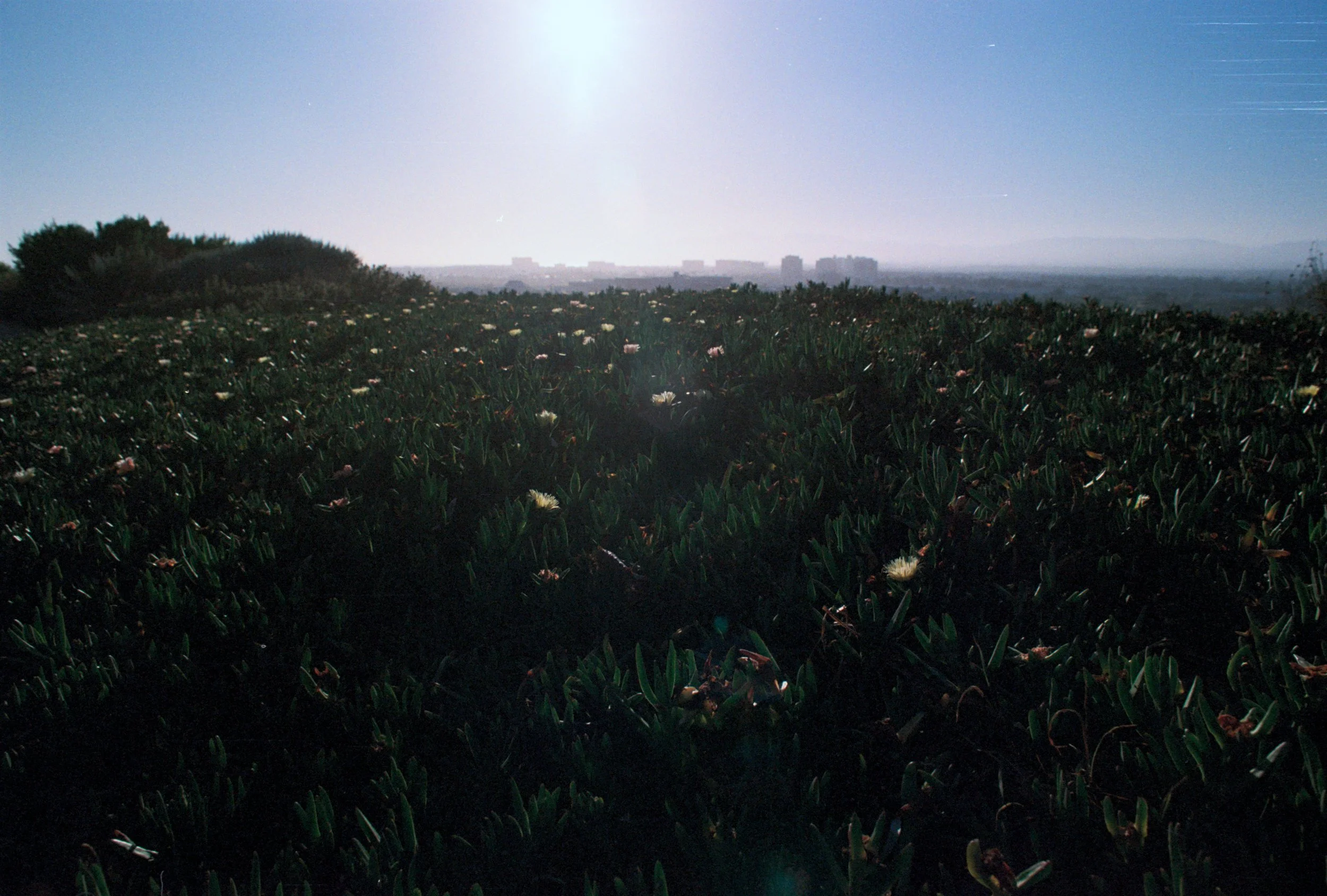FE065_Fuji-c400_0031.jpeg