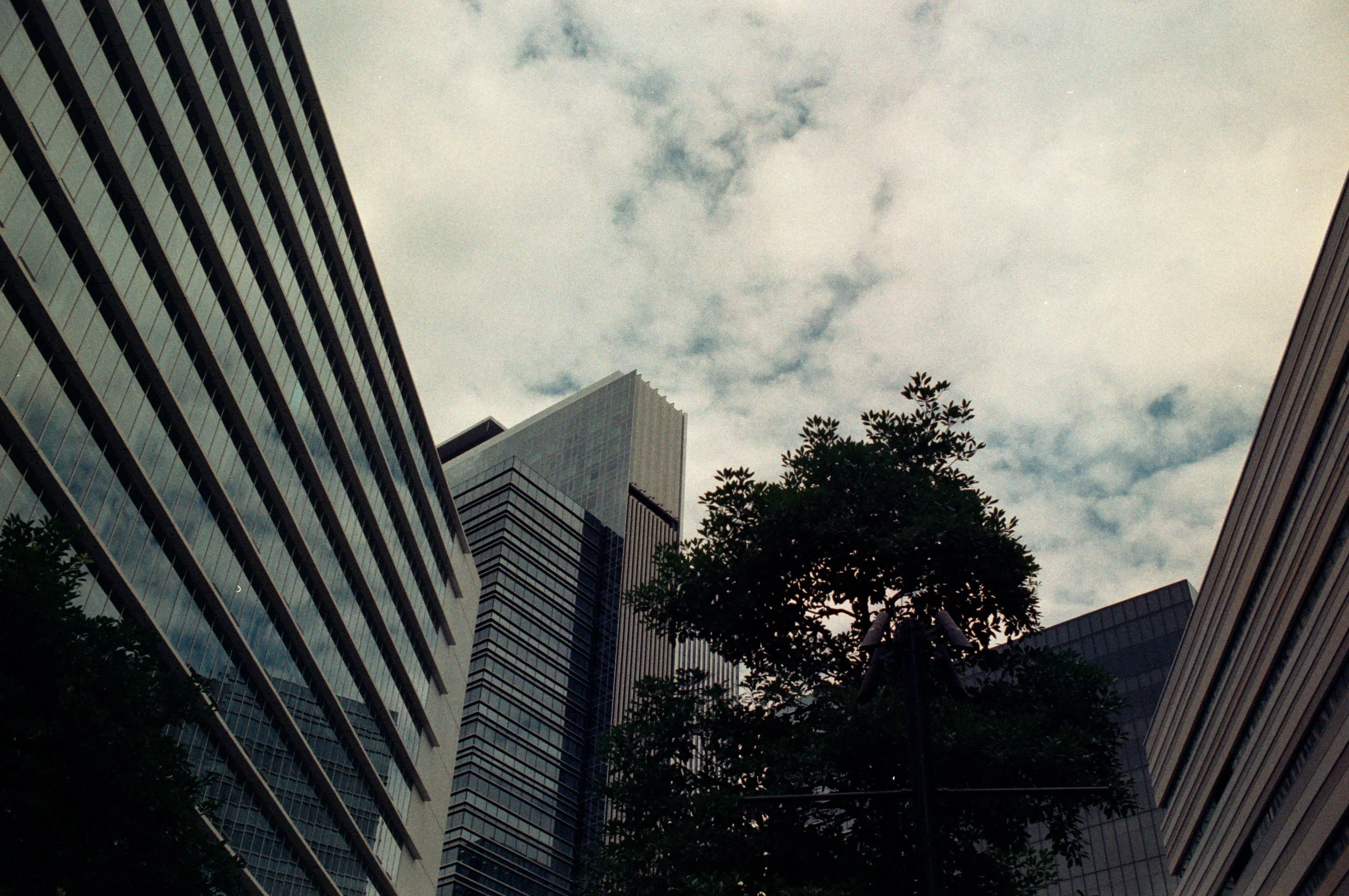 FE079_Fujifilm-nph400_0025.jpeg