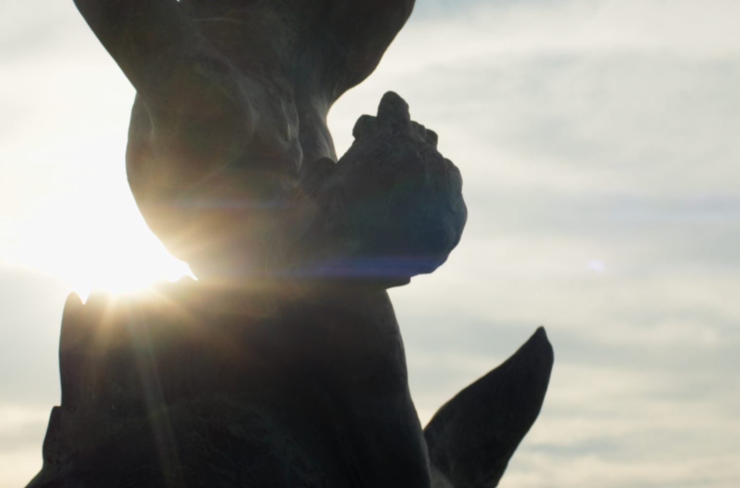 Anamorphic in Question (2025)