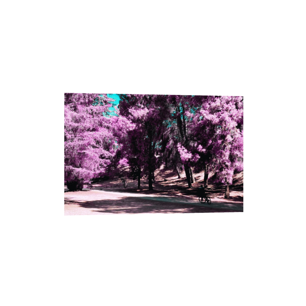 ptq_1_3_0_416_2500_1666_0_false_ffffff_0_0_.png