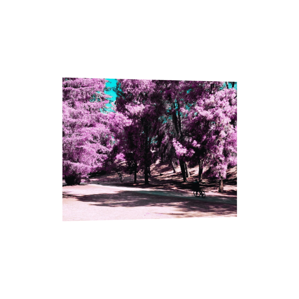 ptq_34_6_0_250_2500_2000_0_false_ffffff_0_0_.png
