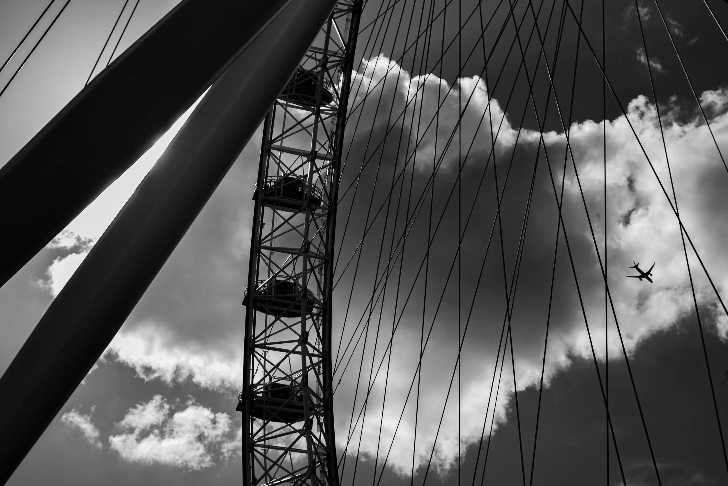 L1004104.jpg