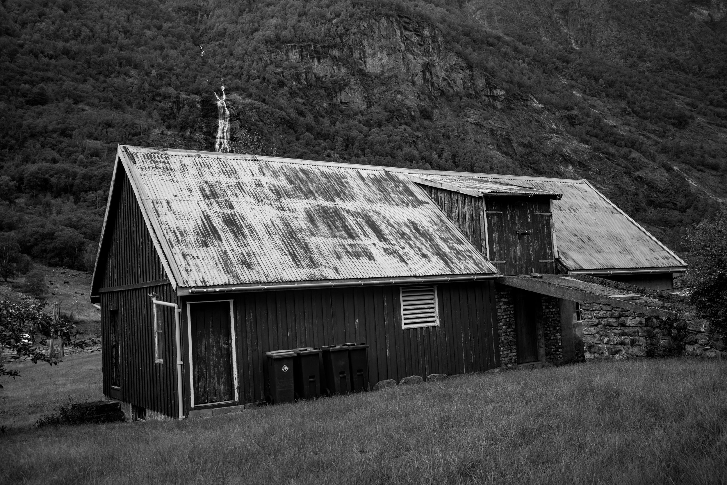 L1007070.jpg