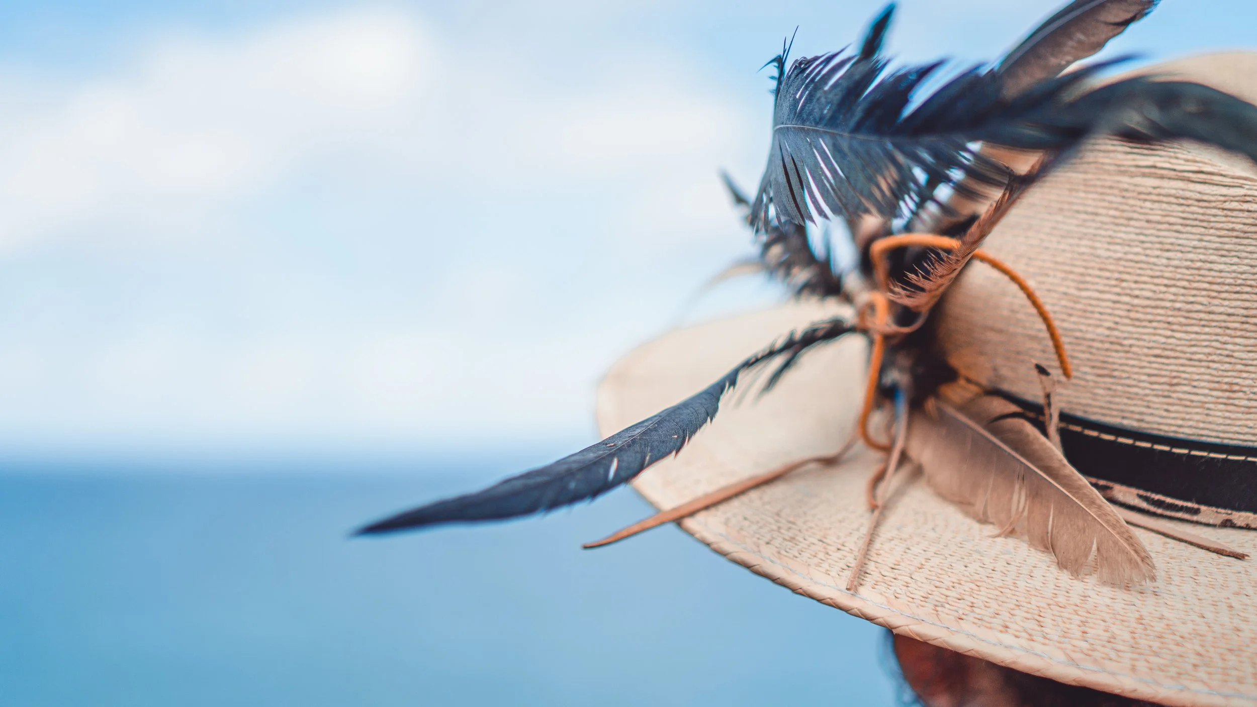 A beige straw hat decorated with black and brown feathers against a cloudy sky background.