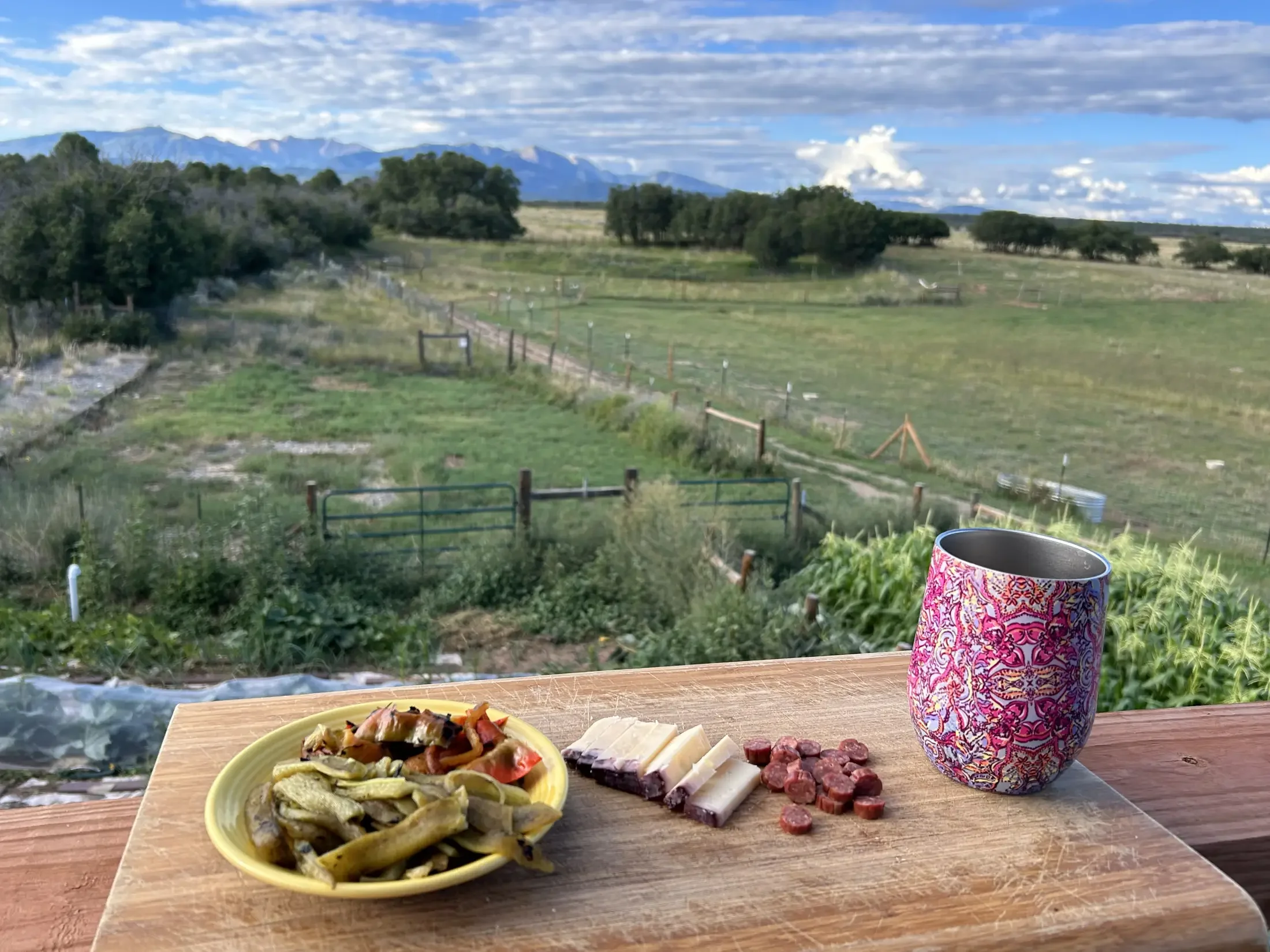 A picnic table with a plate of assorted food including pickles, sliced meat, and vegetables, a cup with a colorful floral pattern, and a view of a vast green field with trees, mountains, and a partly cloudy sky in the background.