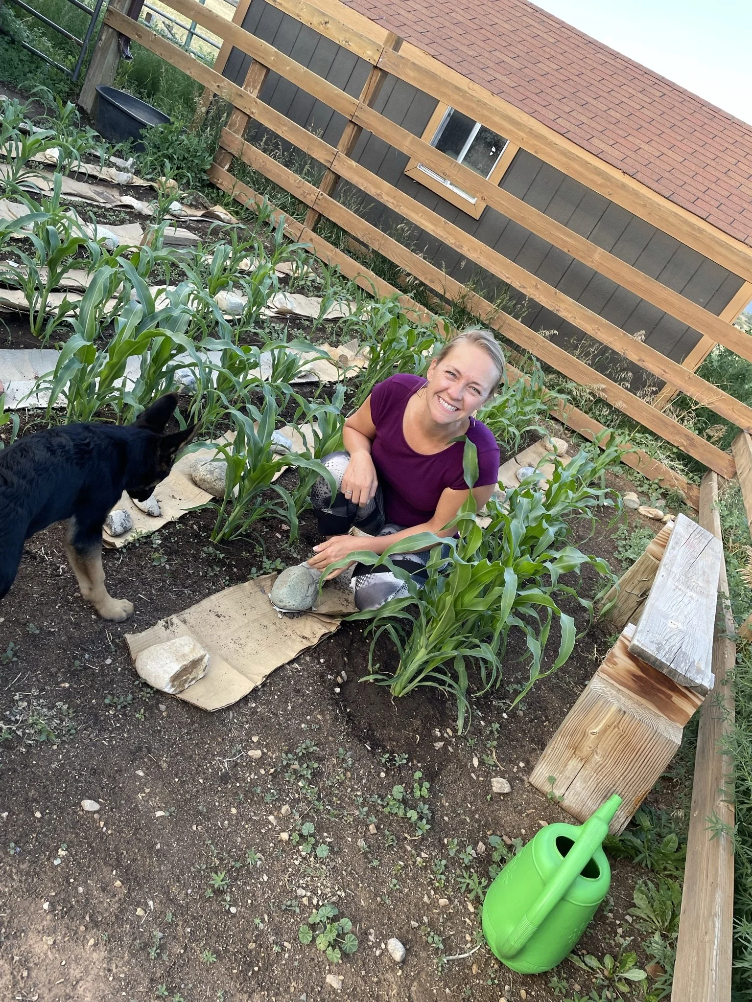 A smiling woman crouched in a garden with tall green plants, accompanied by a black dog. The garden has a wooden fence, and wooden planks are stacked nearby. A green watering can and a watering spray are on the ground nearby. There's a house with gra
