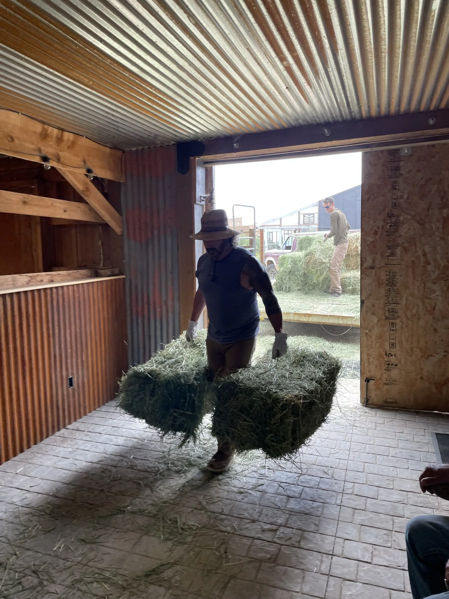 A person wearing a hat, sunglasses, and gloves is carrying a large bundle of hay inside a barn. Outside, another person is visible near haystacks and a pickup truck.