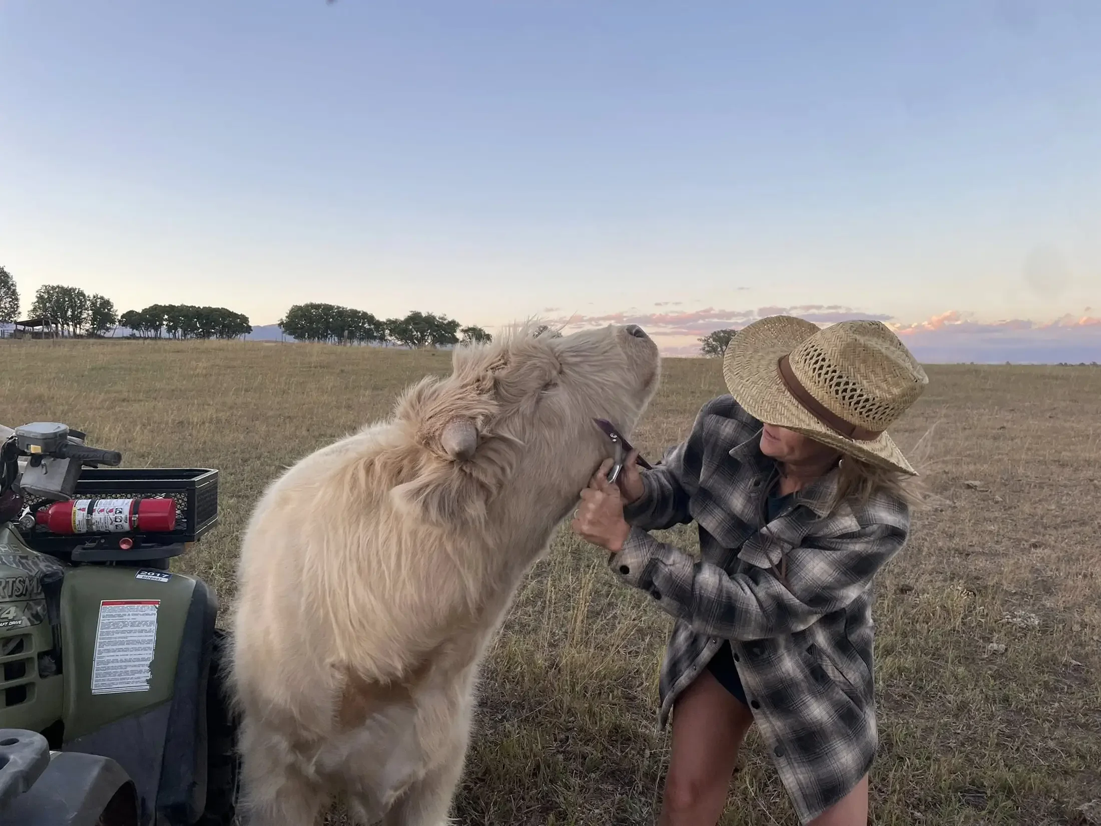 A person wearing a straw hat and plaid shirt kneels next to a large golden retriever in an open field during sunset. A generator and fire extinguisher are nearby.