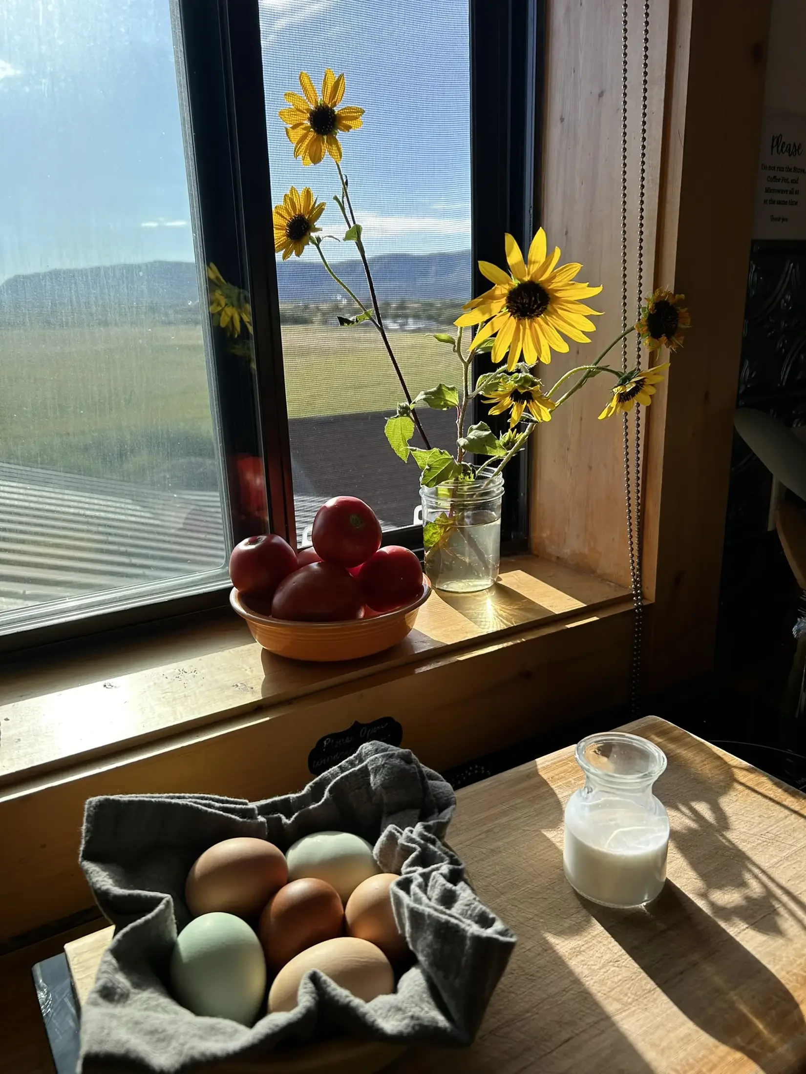 A kitchen windowsill with a vase of yellow flowers, a bowl of red apples, a jar of milk, and a basket of eggs in paper wrapping, with sunlight shining through the window showing a scenic outdoor view.