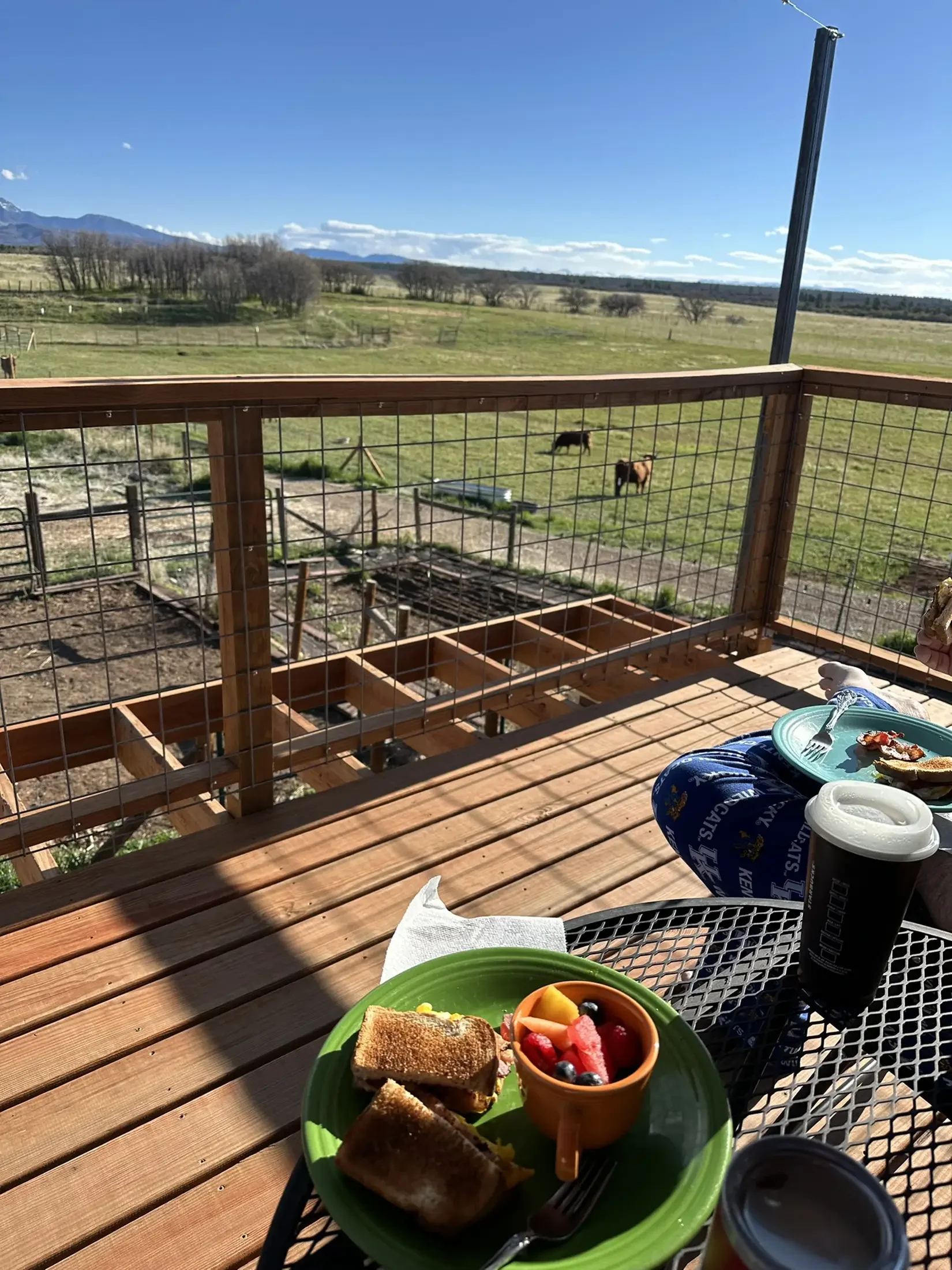 A breakfast on a patio table overlooking a grassy field with two horses and a distant mountain range under a blue sky with clouds.