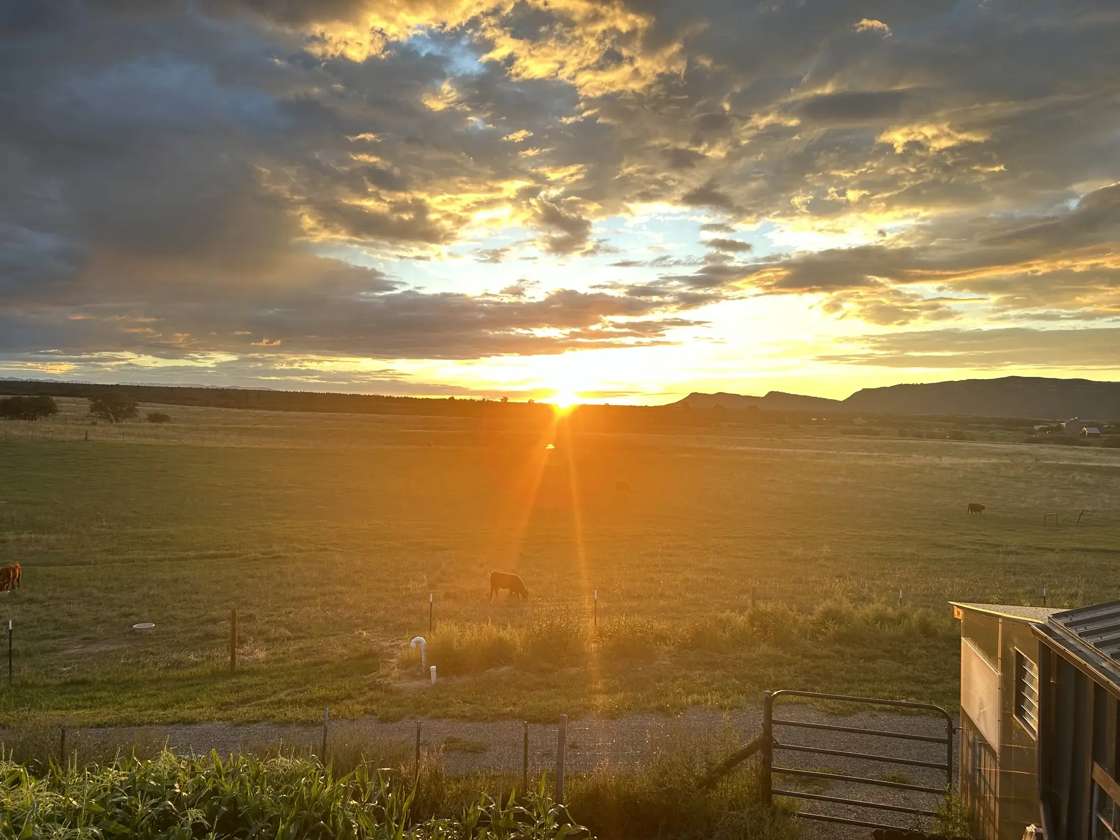 Sunset over a vast open field with scattered trees, distant hills, and a cloudy sky with sunlight peeking through.