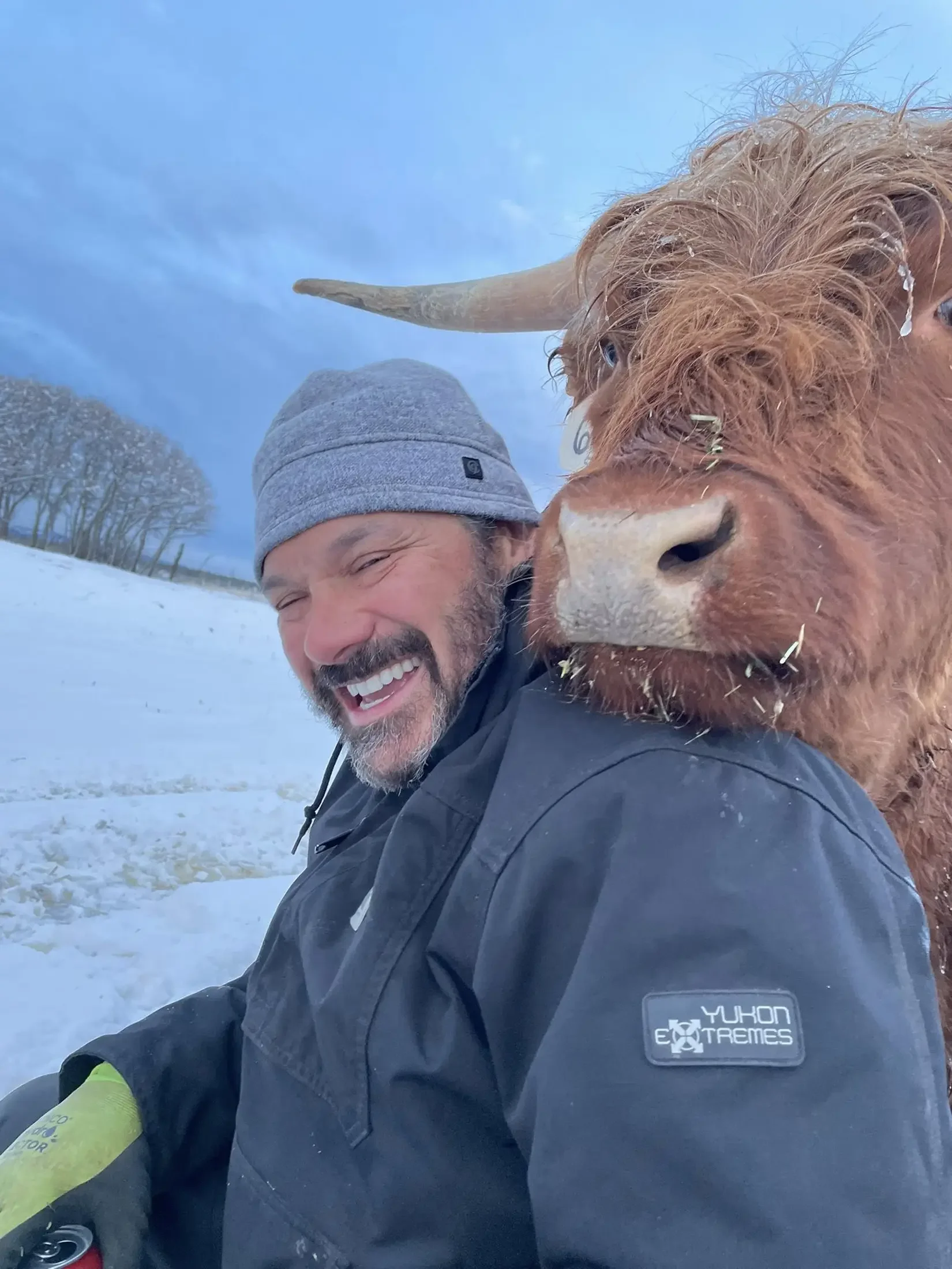 A man taking a selfie with a Highland cow in a snowy landscape during winter.