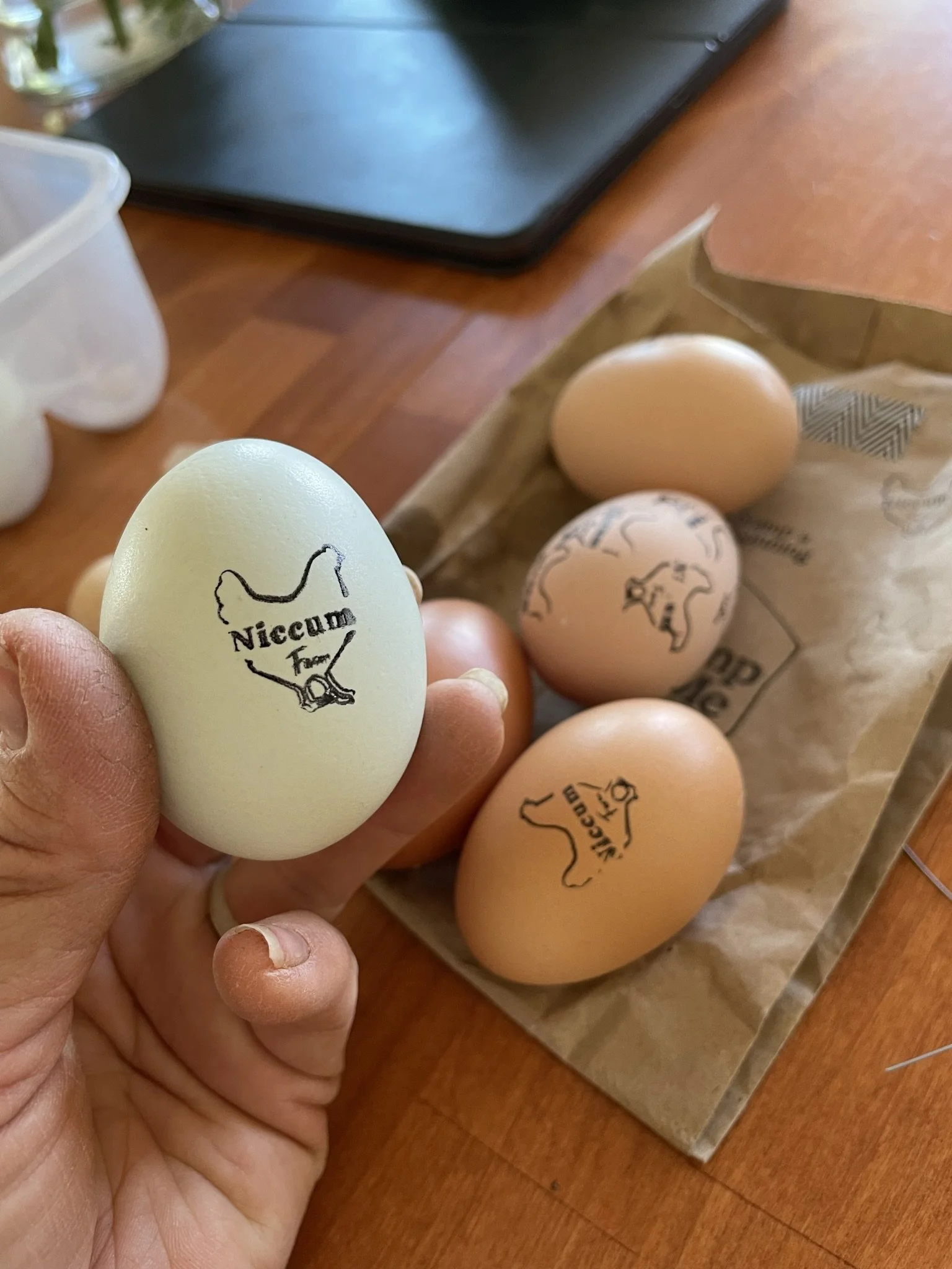 Close-up of a hand holding a pale green egg with a black logo and text that reads "Niccum for". In the background, there are several other eggs and a brown paper bag with eggs inside, placed on a wooden surface.