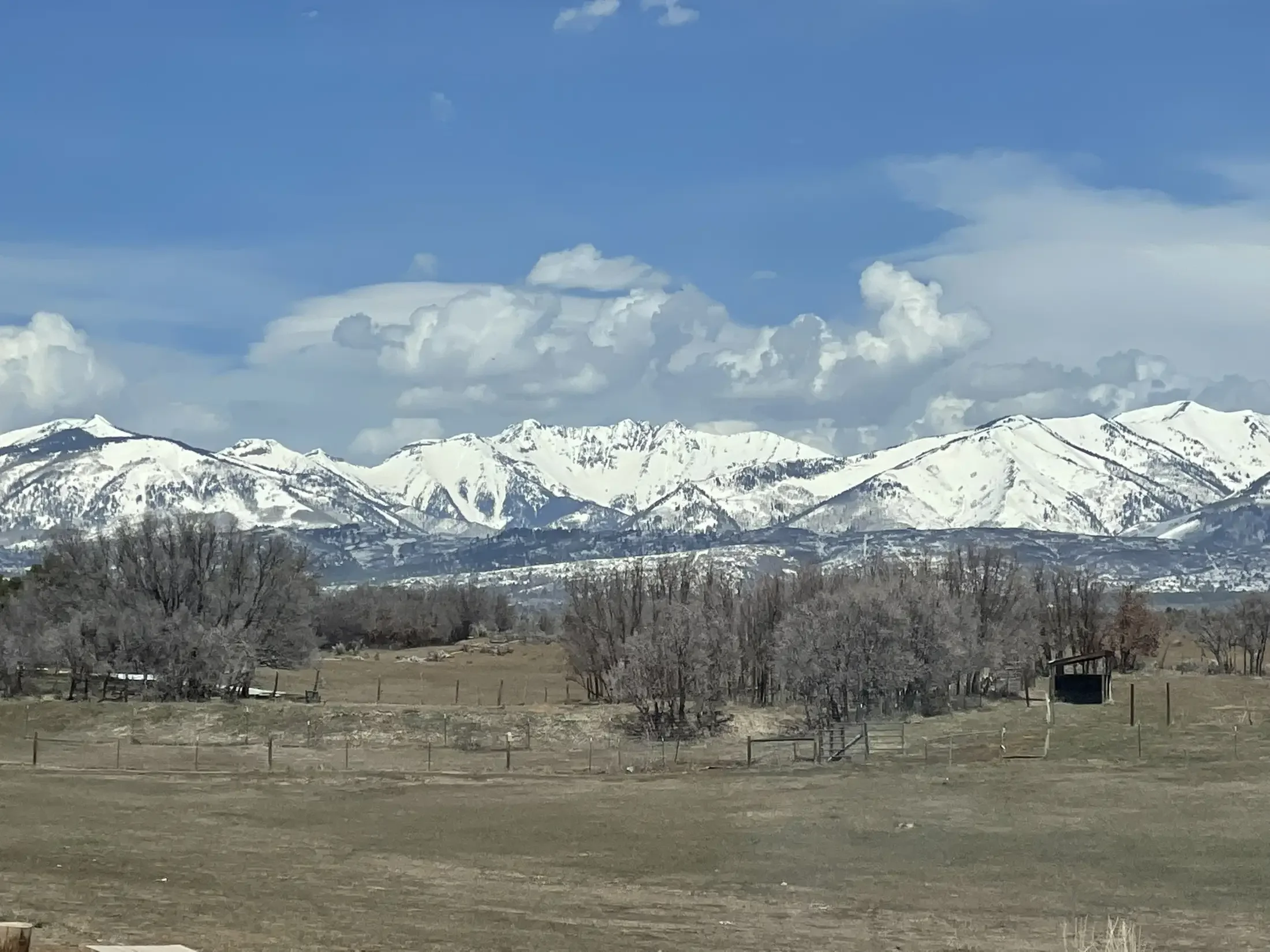 Snow-capped mountain range under a partly cloudy blue sky, with a rural landscape featuring trees and fences in the foreground.