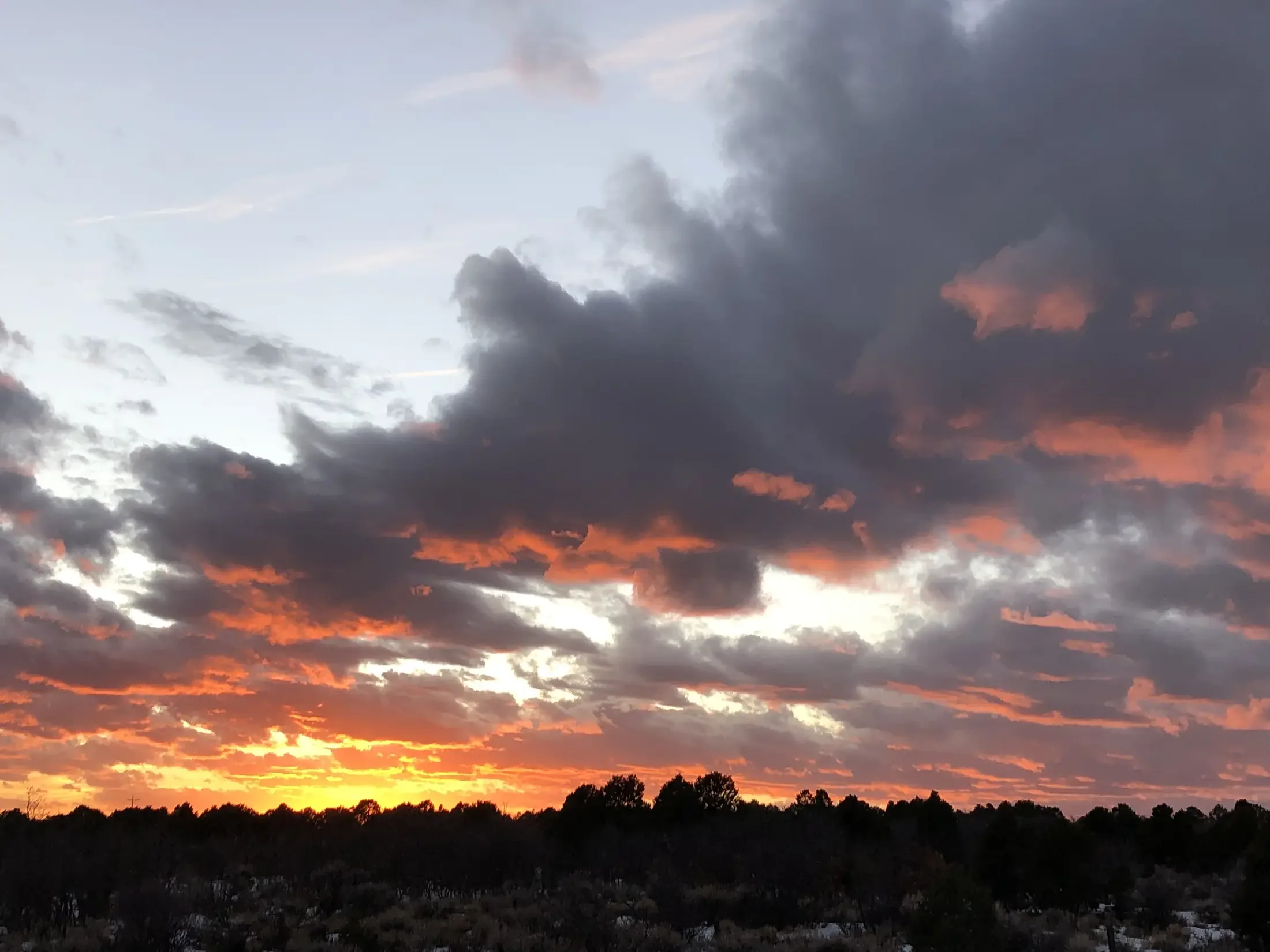 Colorful sunset sky with dark clouds and a silhouette of trees on the horizon.