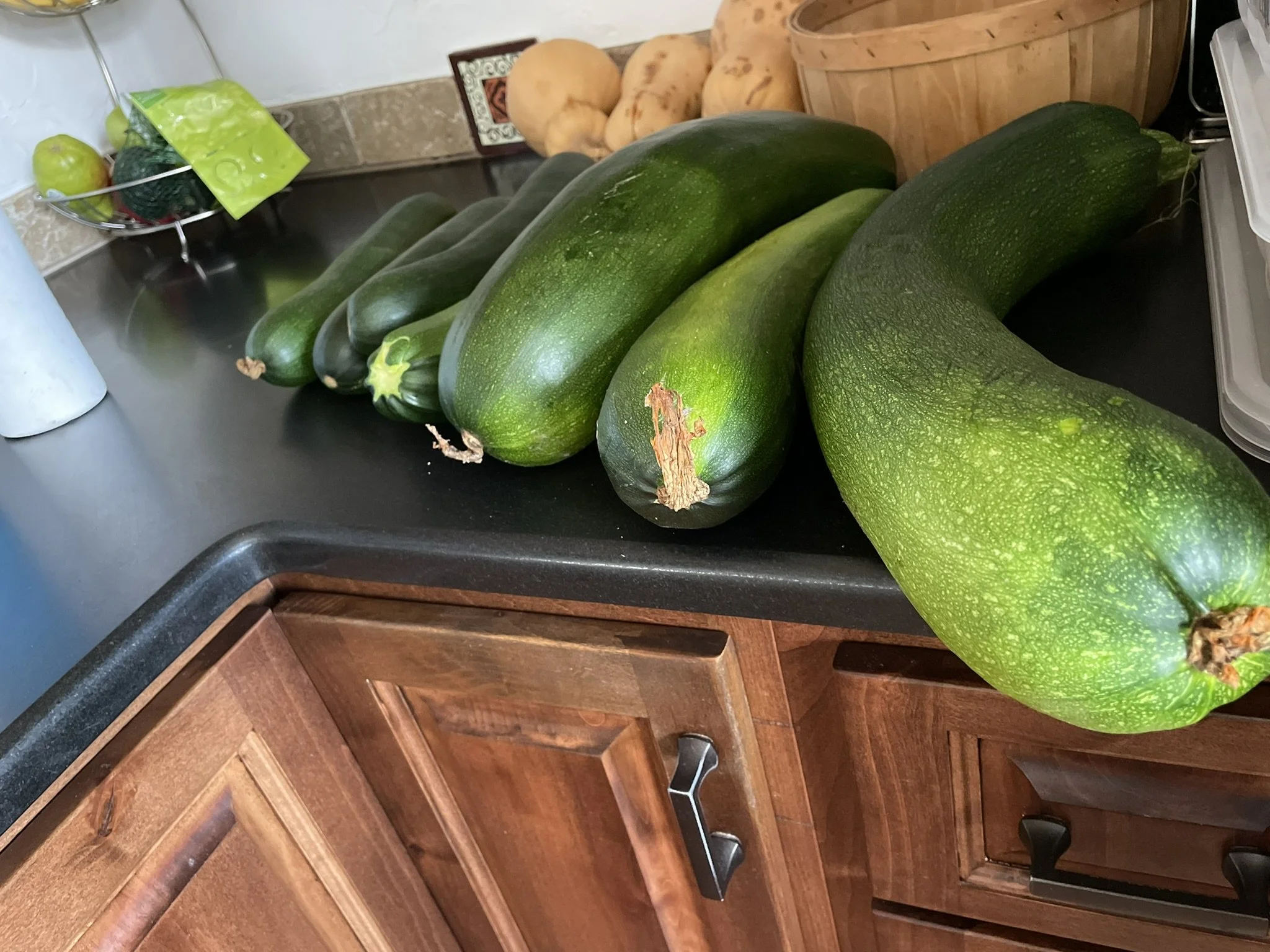 Large zucchinis lined up on a kitchen countertop near a wooden cabinet and a sink, with a paper towel and vegetables in a wire basket in the background.