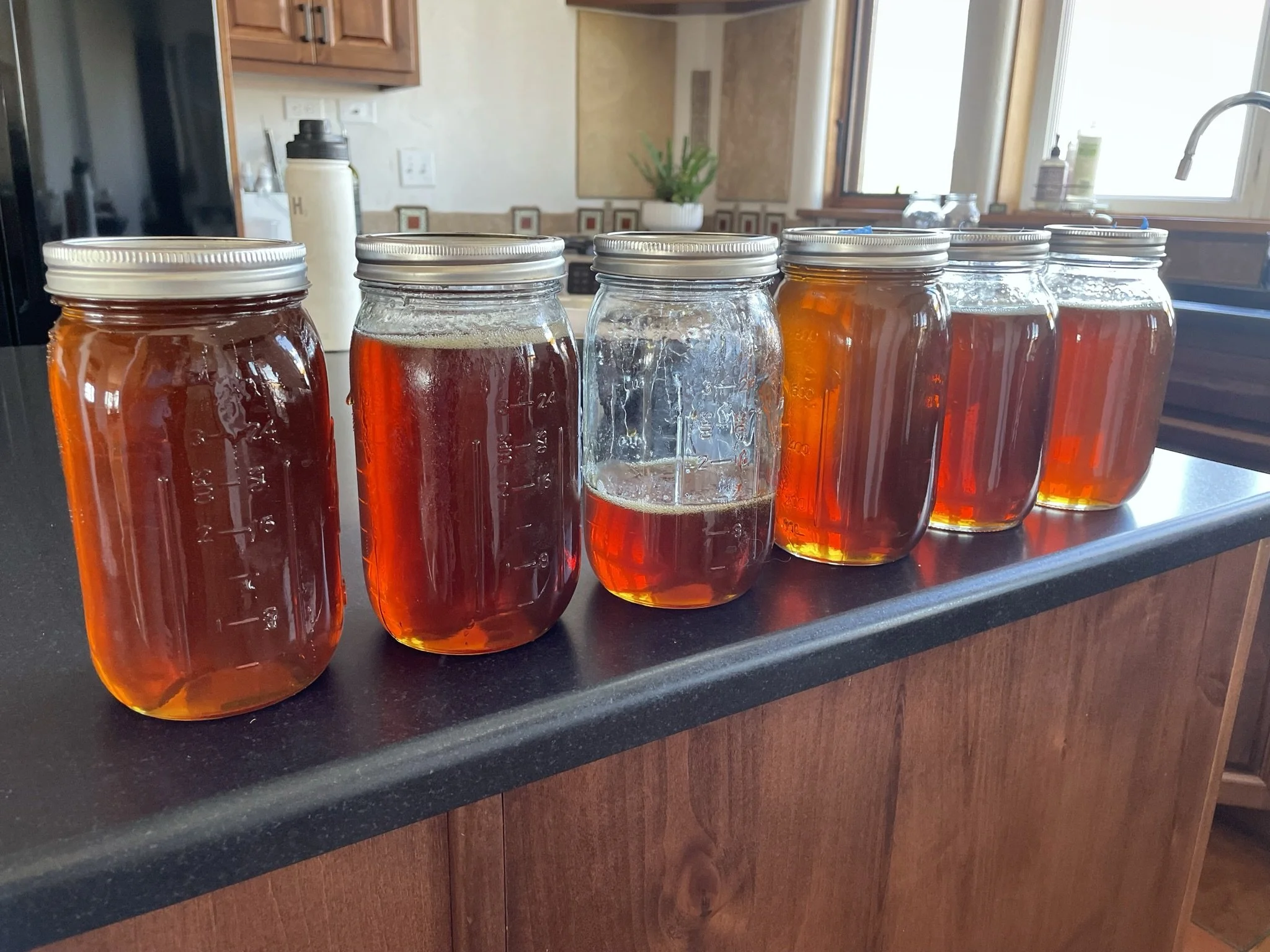 Several glass jars with metal lids filled with varying shades of amber-colored liquid, placed on a dark countertop in a kitchen with wooden cabinets and a window in the background.