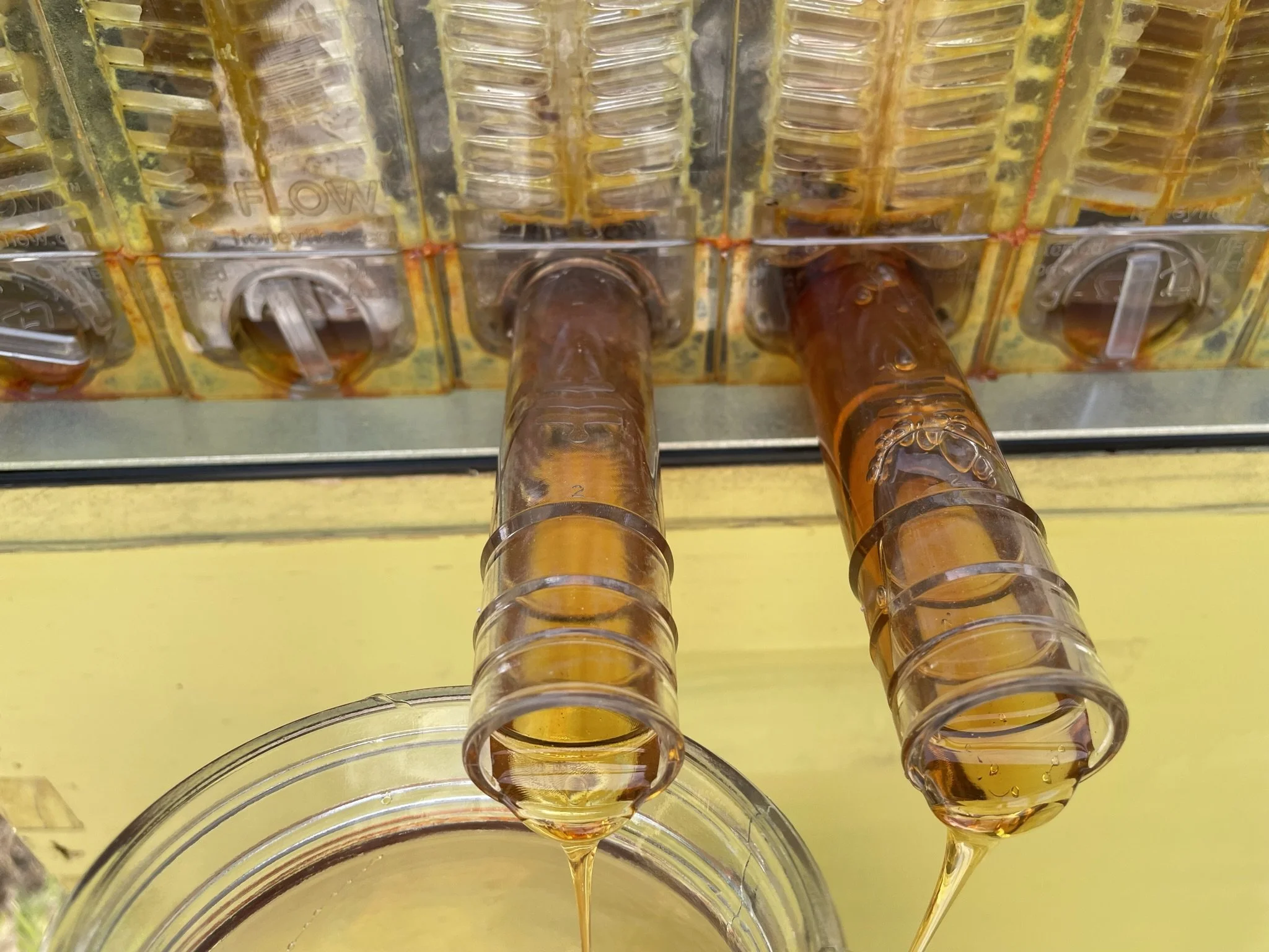 A wall of small transparent plastic tubes filled with orange liquid, resembling a honeycomb pattern, with two tubes hanging into a glass container below.