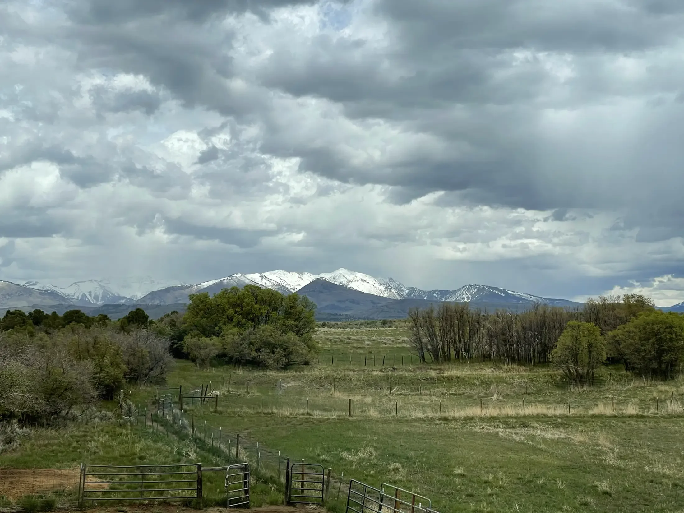Rural landscape with green fields, trees, and fenced paddocks in the foreground. Mountains with snow-capped peaks in the background under a cloudy sky.