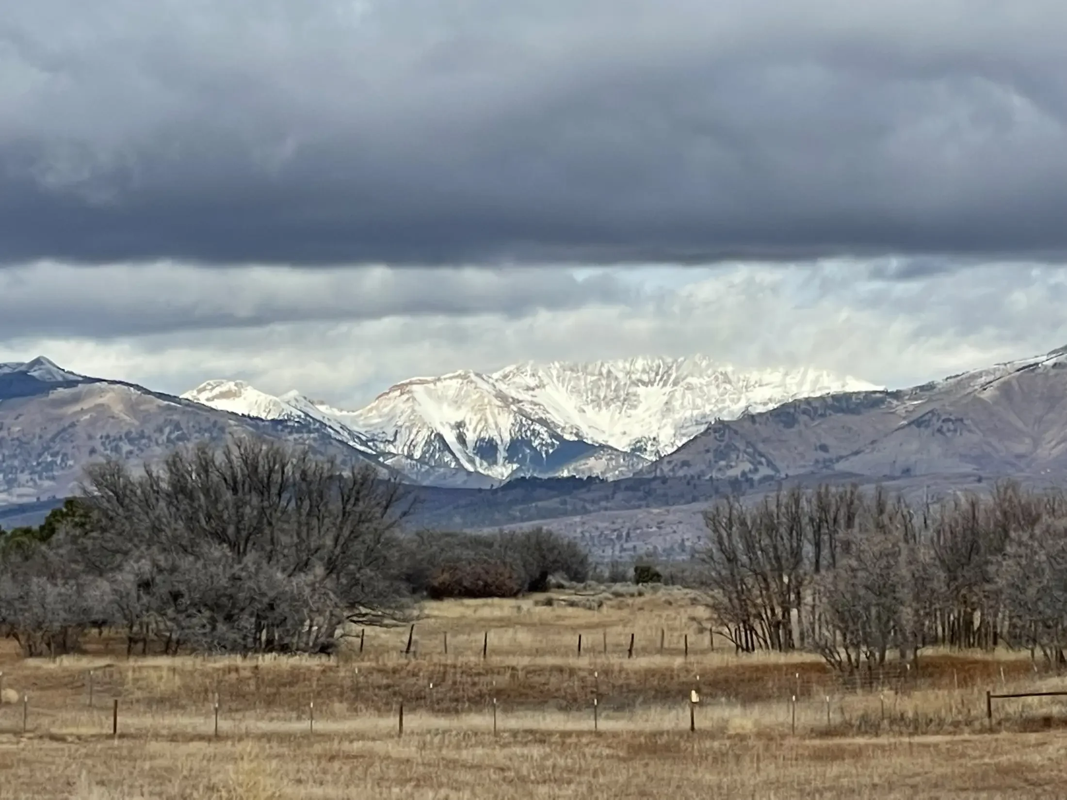 Snow-capped mountains under dark, cloudy sky with dry grass and leafless trees in the foreground.