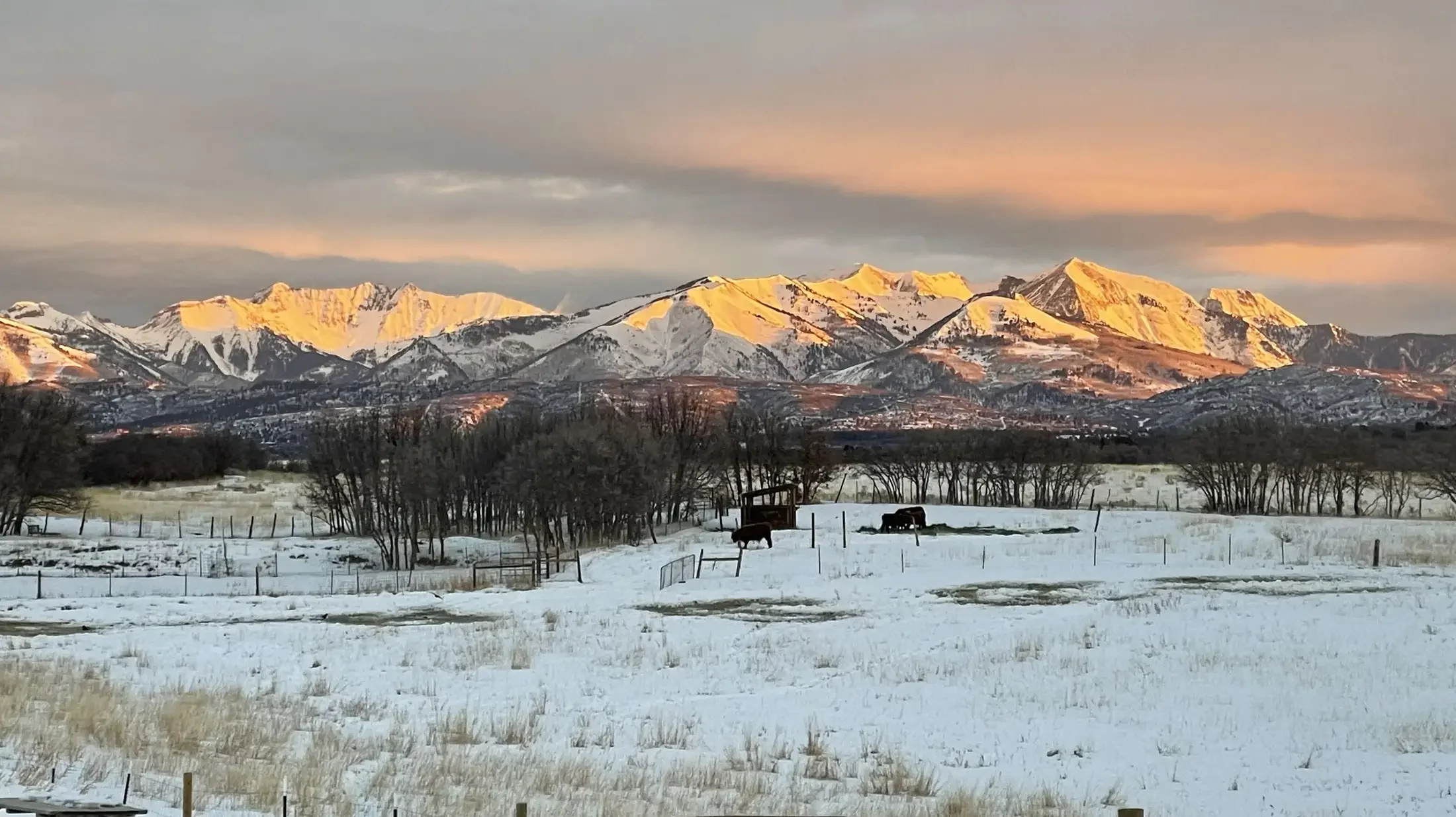Snow-covered field with trees and farm animals, mountains in the background illuminated by the setting sun.