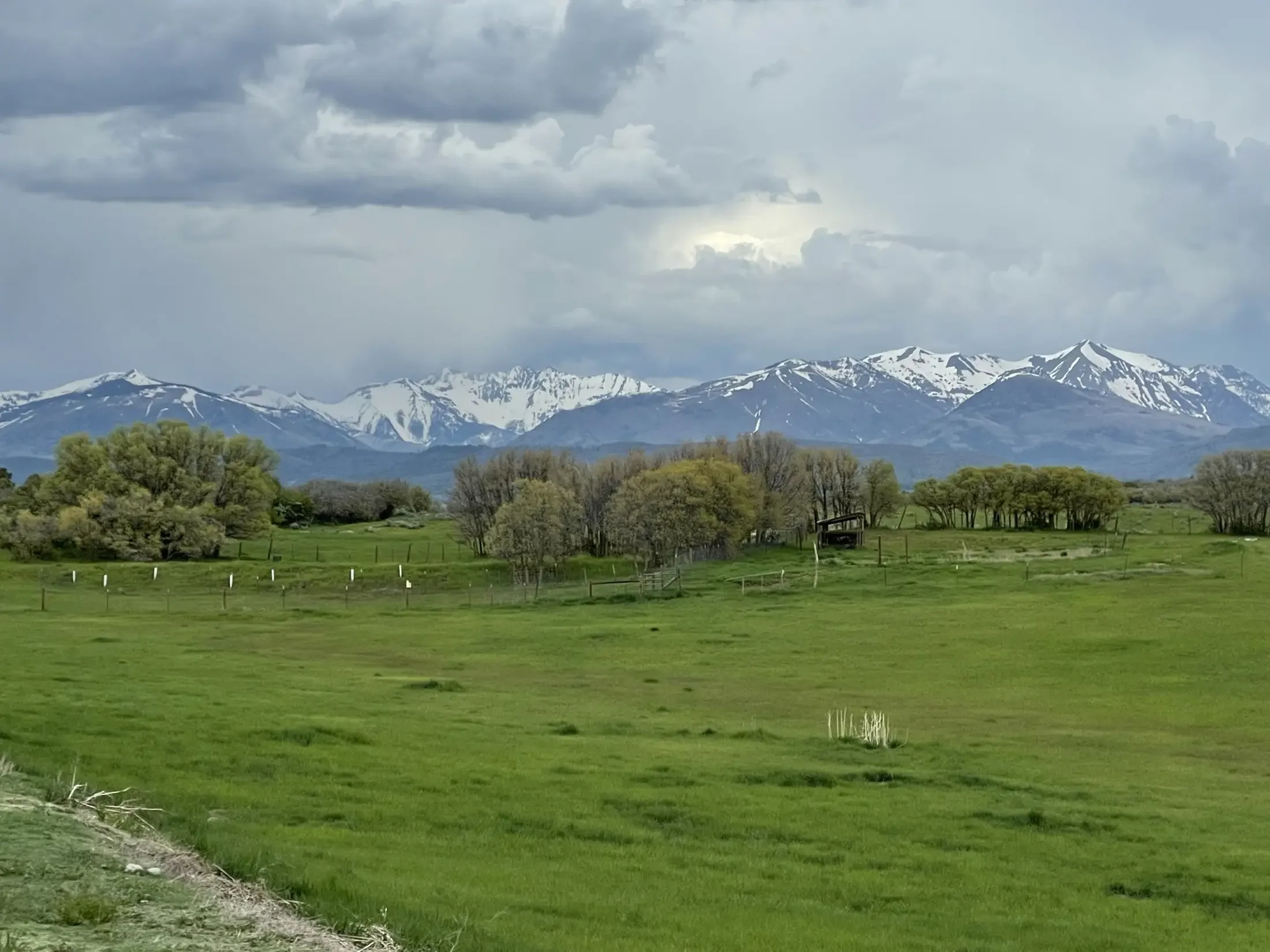 Green grassy field with trees in the foreground, snow-capped mountains in the background, and a cloudy sky above.