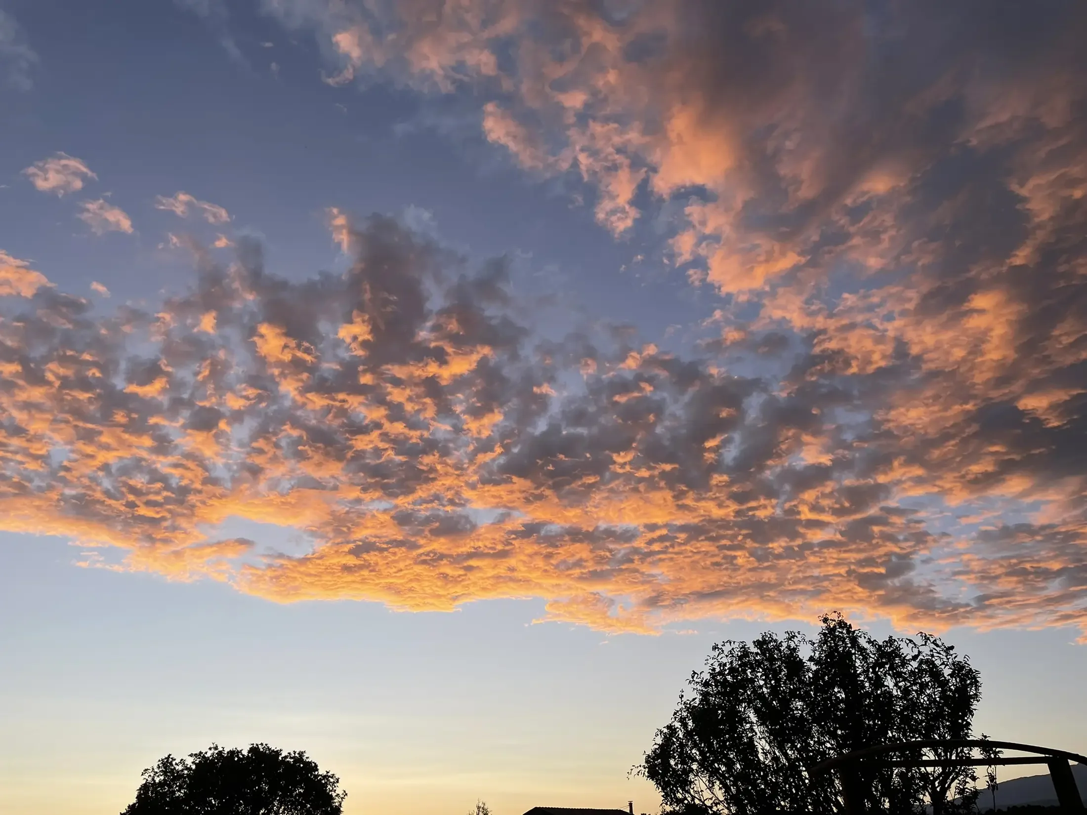 A sunset sky with orange and pink clouds over tree silhouettes.