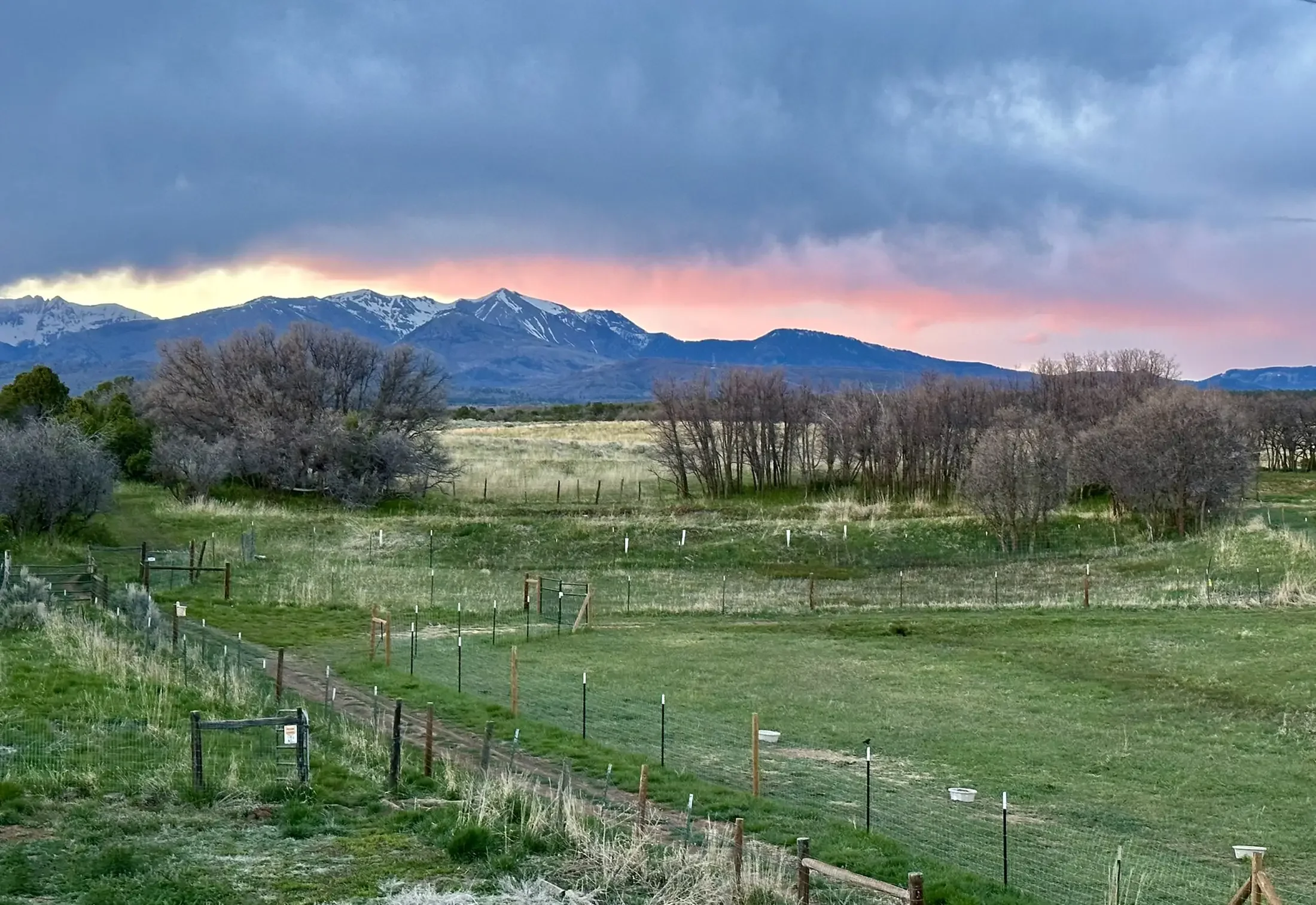 Scenic view of snow-capped mountains at sunset with a partly cloudy sky and a grassy field with some trees and fencing in the foreground.