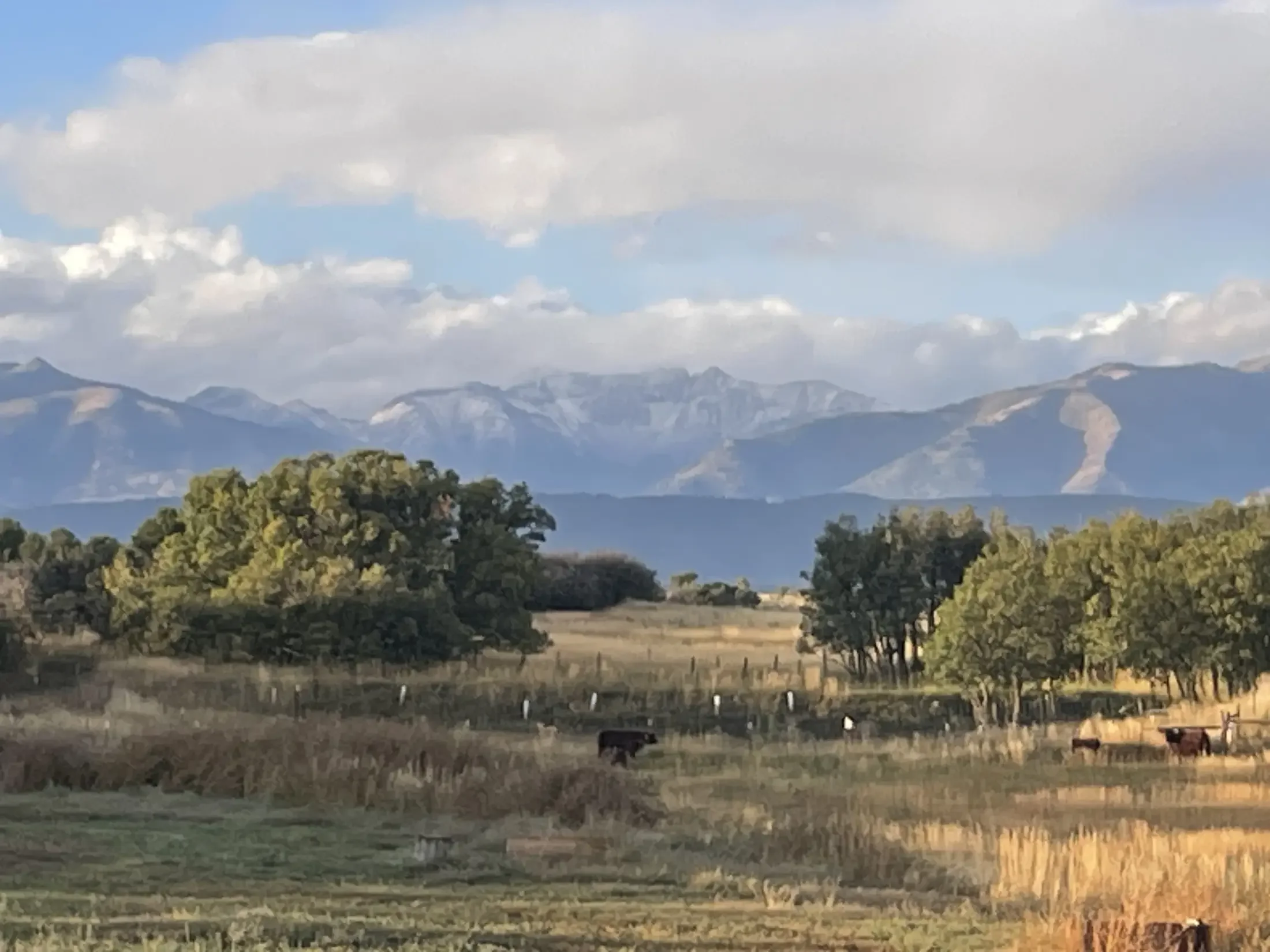 A vast landscape featuring green fields with cows grazing, a line of trees, and mountains in the background under a partly cloudy sky.