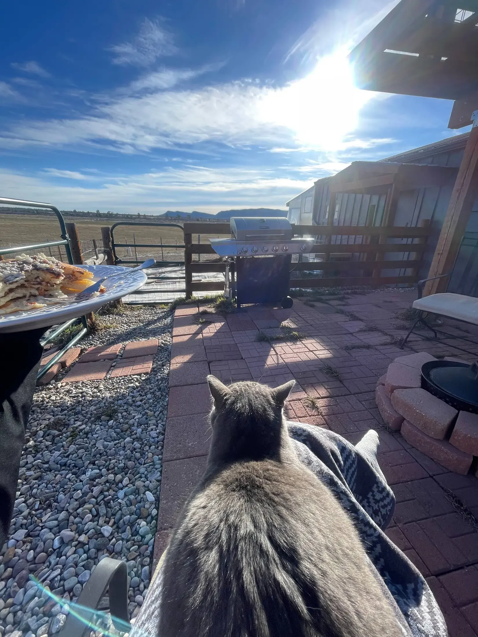 A dog with a gray and black coat lying on a person's lap on a brick patio outside, facing away from the camera. In the background, there is a grill, a fence, a chair, and a vast open field under a blue sky with some clouds and the sun shining brightl