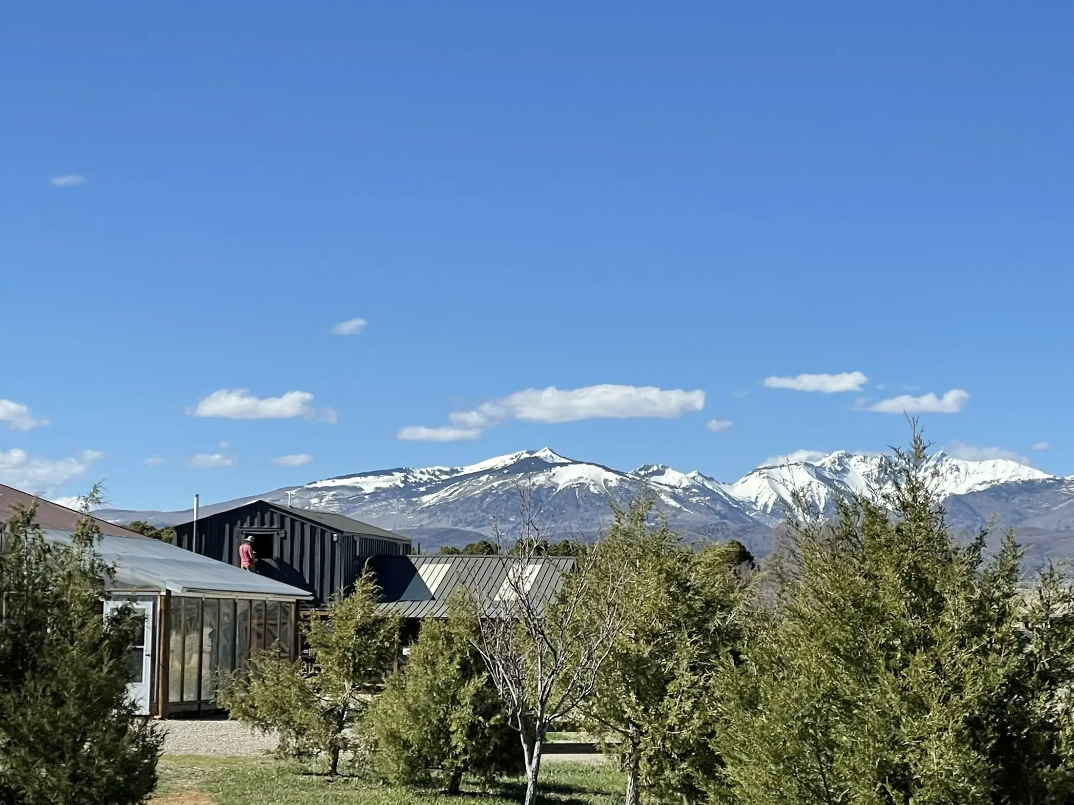 Snow-capped mountains in the background with a residential neighborhood and lush green trees in the foreground under a clear blue sky with scattered clouds.