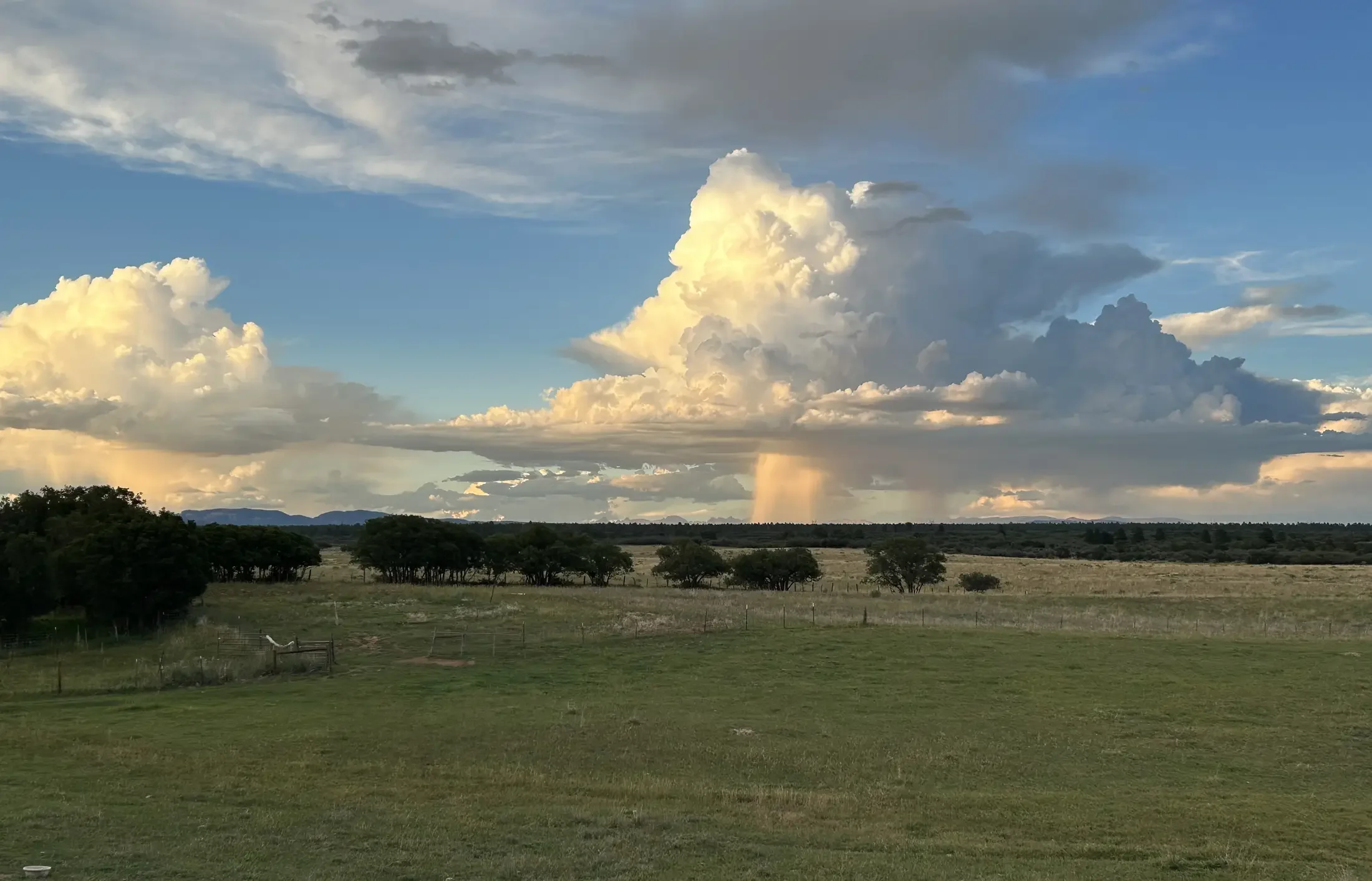 A rural landscape with a grassy field, scattered trees, and a distant horizon under a partly cloudy sky with large billowing clouds and a visible rainstorm raining down in the distance.