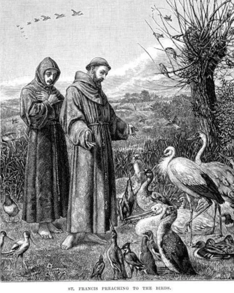 Francis preaching to birds.jpg