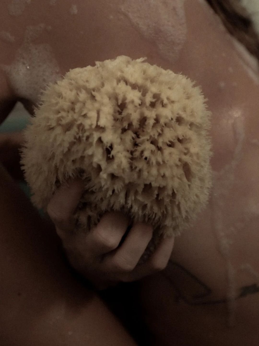 Éponge de Mer - WELL KEPT