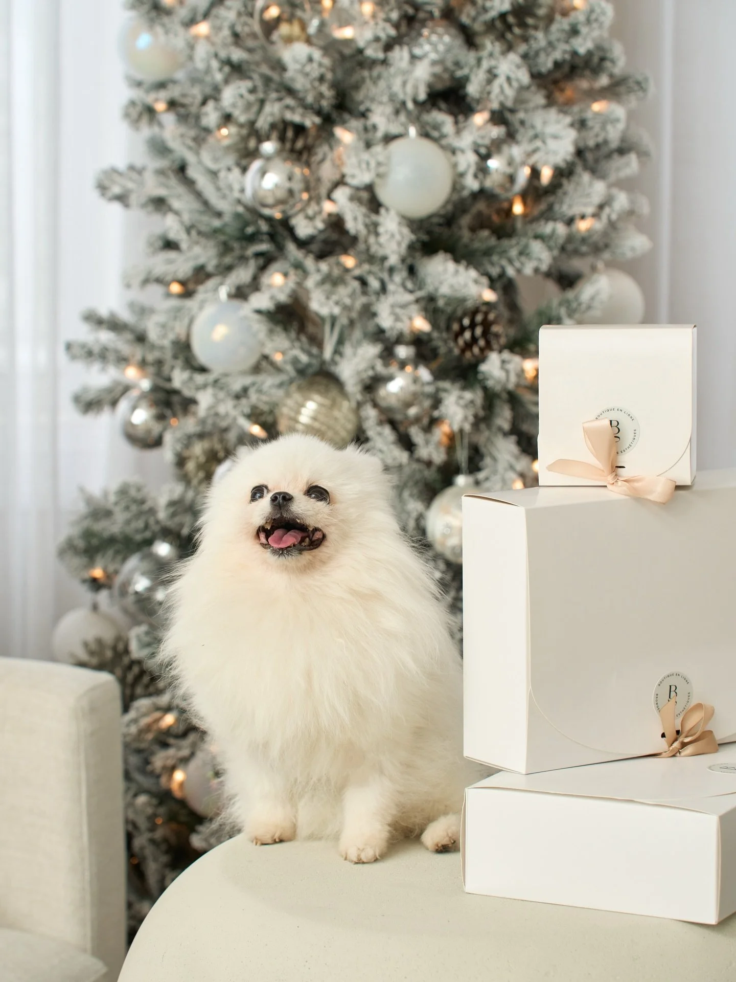 Bon temps des F&ecirc;tes 🤍🎄